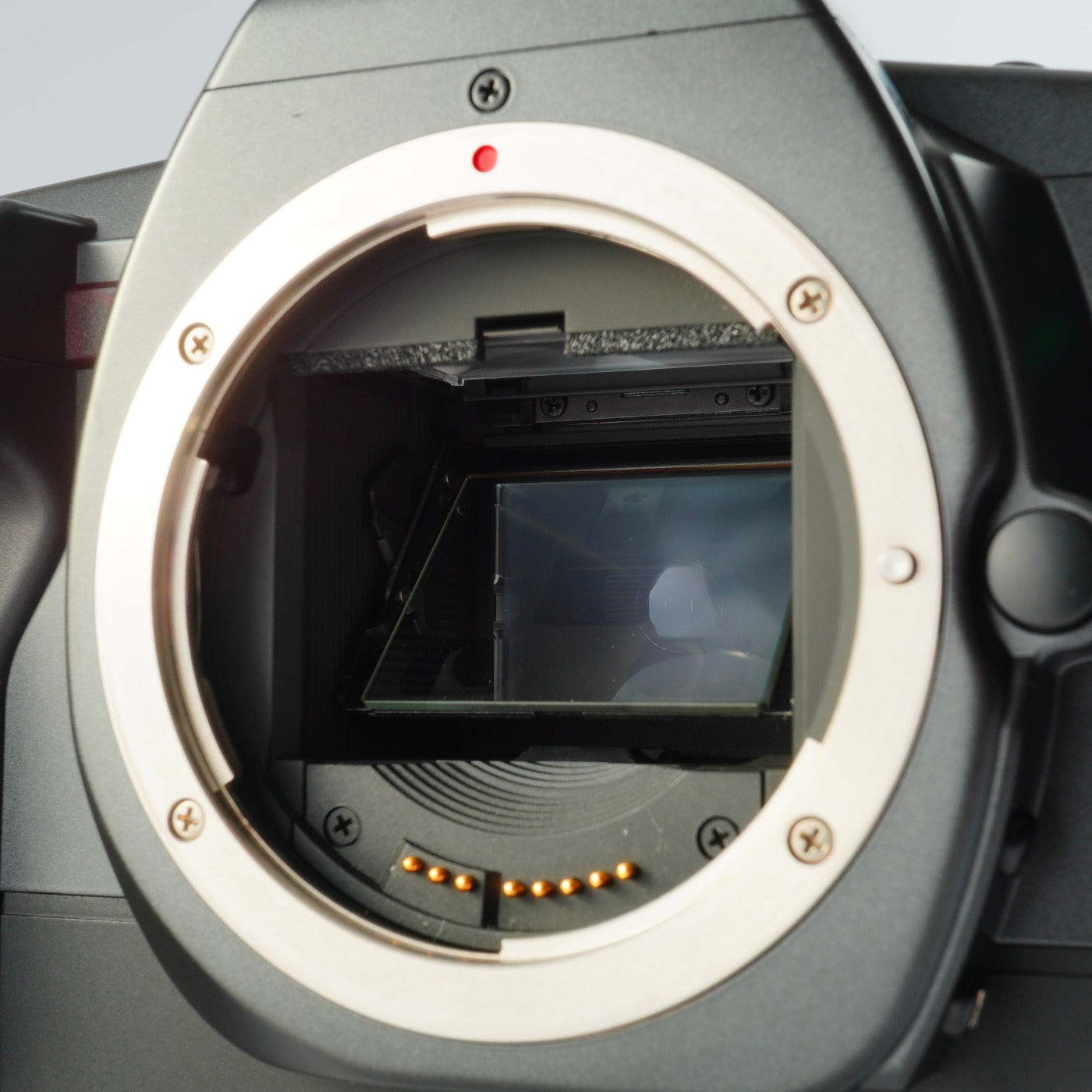 Canon EOS 630 + EF 28-80mm F/3.5-5.6 Ⅲ AF フィルム一眼レフカメラ