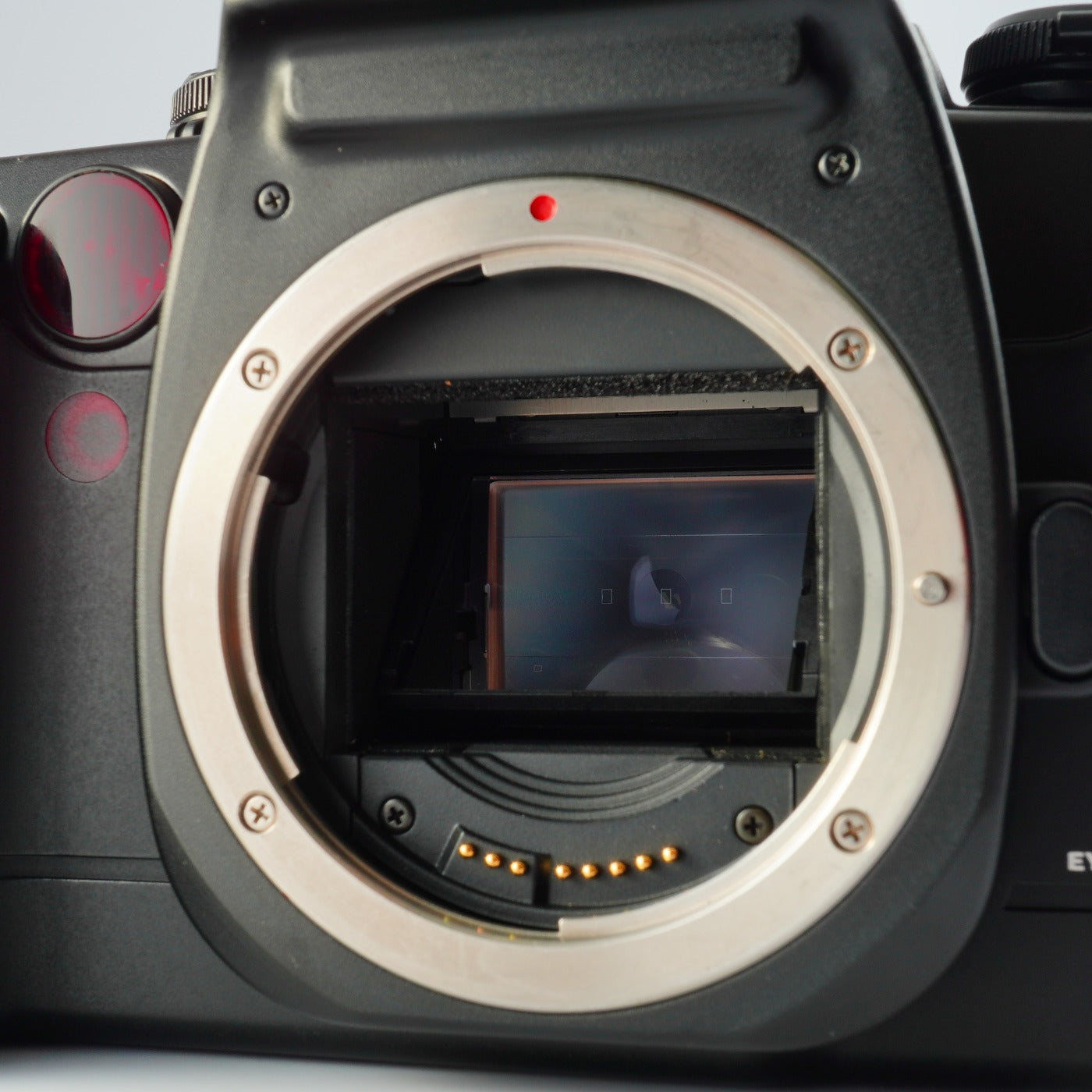 Canon EOS 55 (ELAN II) ＋ EF 28-80mm F/3.5-5.6 Ⅳ USM AF フィルム一眼レフカメラ