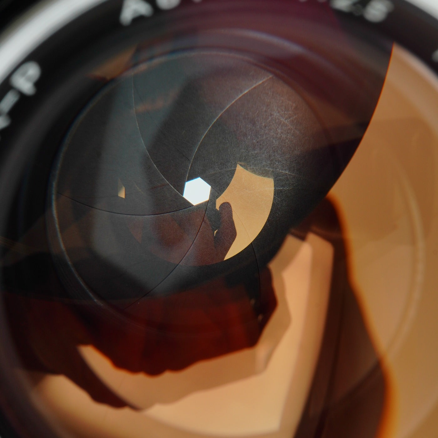 Nikon 非Ai NIKKOR-P Auto 105mm F/2.5 単焦点レンズ