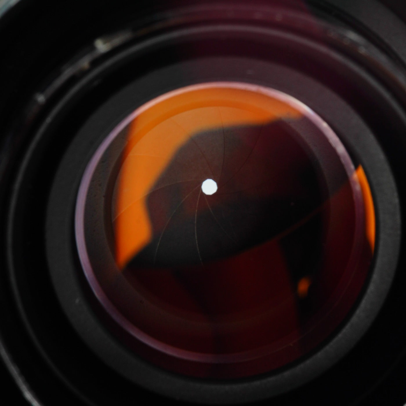 Nikon Nikkor P 10.5cm 105mm F/2.5 単焦点レンズ