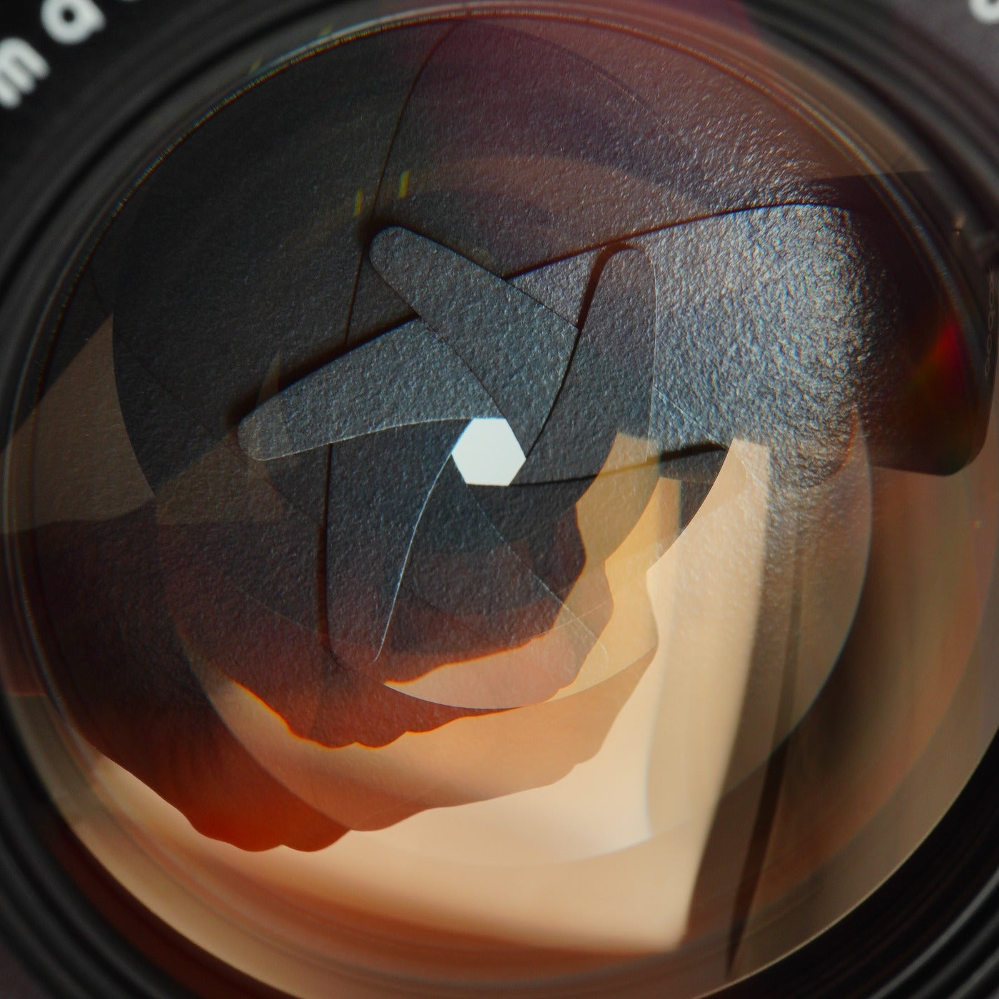 8 Elements PENTAX Super Takumar 50mm F/1.4 (M42用) 単焦点レンズ