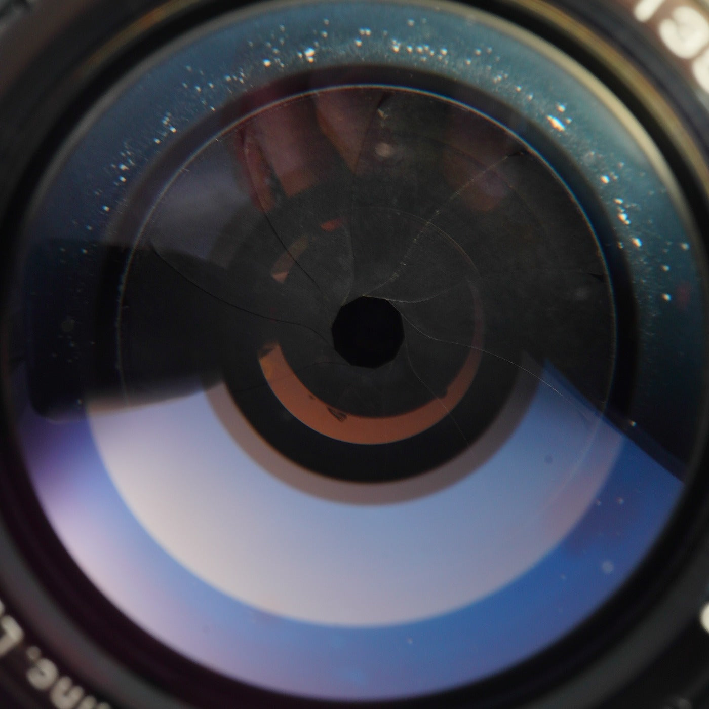 Canon 135mm F/3.5 単焦点レンズ