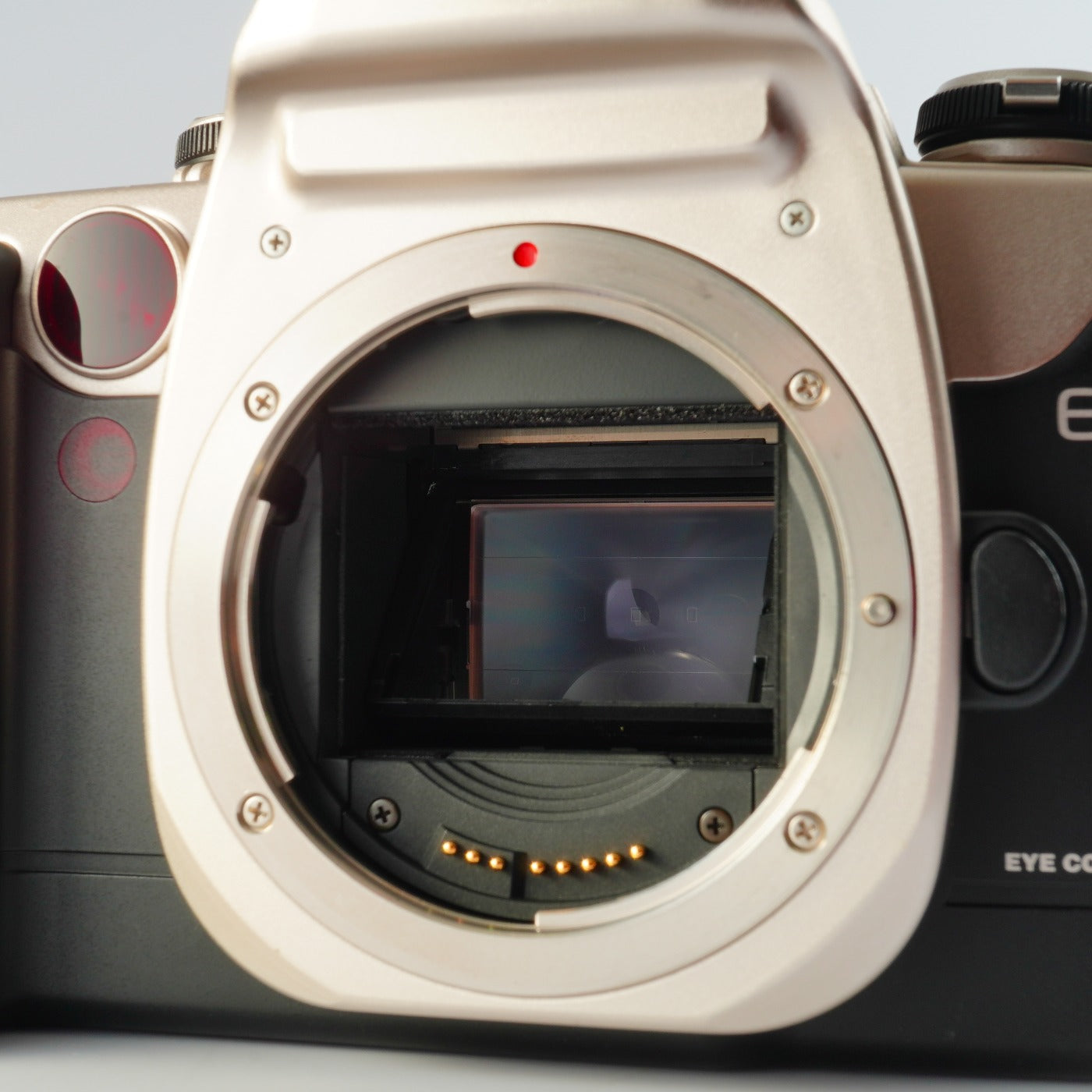 Canon EOS 55 (ELAN II) Gold ＋ EF 35-80mm F/4-5.6 USM AF フィルム一眼レフカメラ