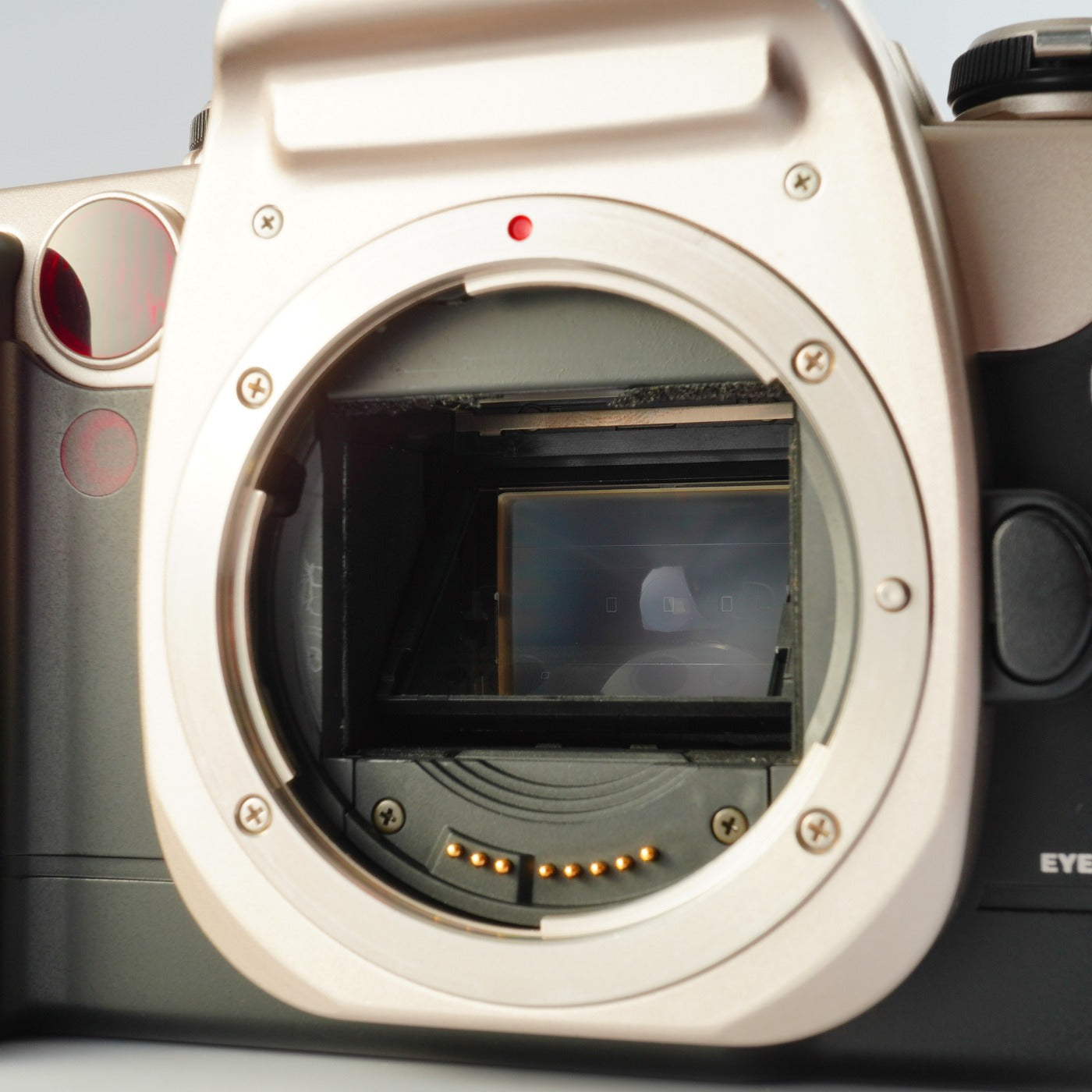 Canon EOS 55 (ELAN II) Gold ＋ EF 35-80mm F/4-5.6 USM AF フィルム一眼レフカメラ
