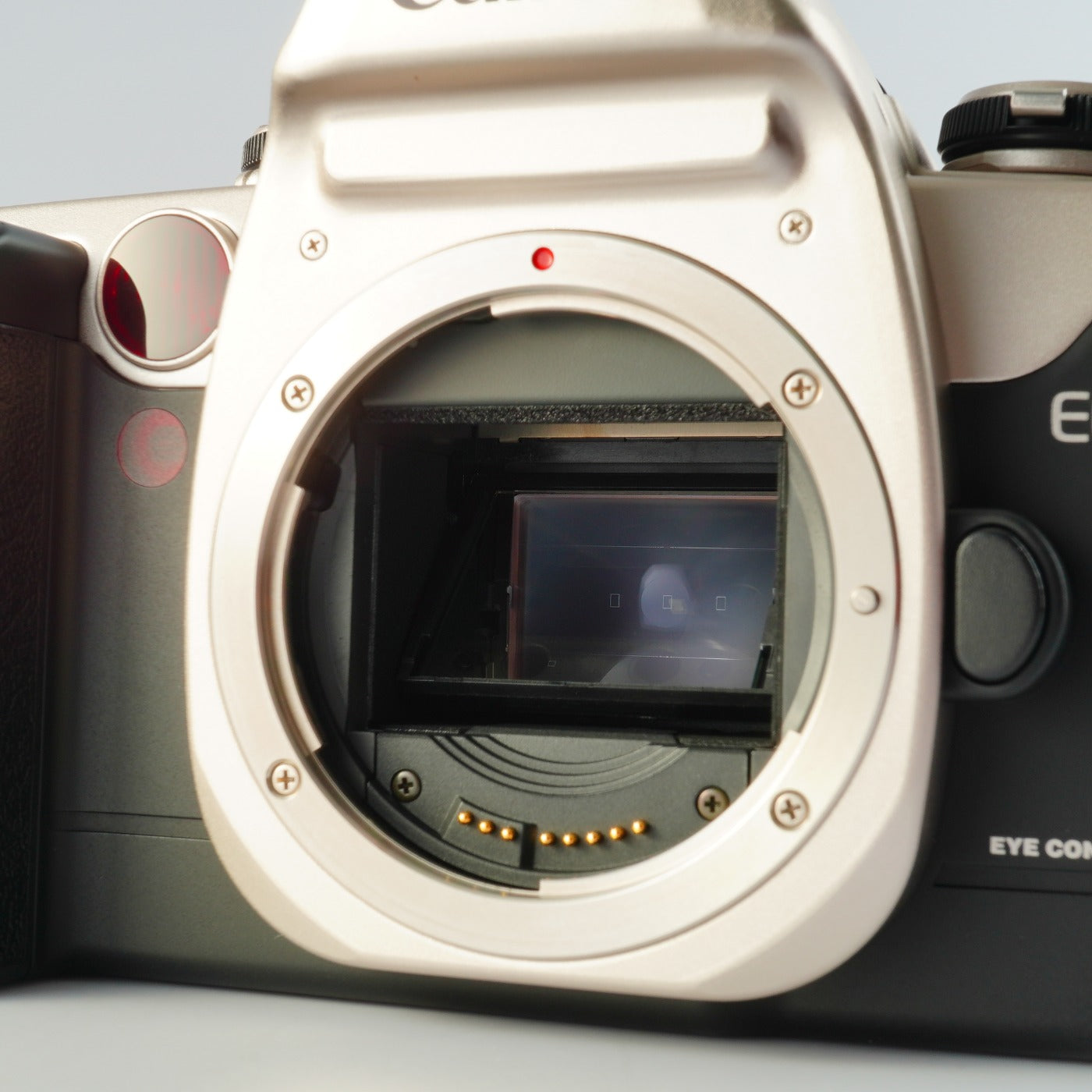 Canon EOS 55 (ELAN II) Gold ＋ EF 28-80mm F/3.5-5.6 Ⅱ USM AF フィルム一眼レフカメラ