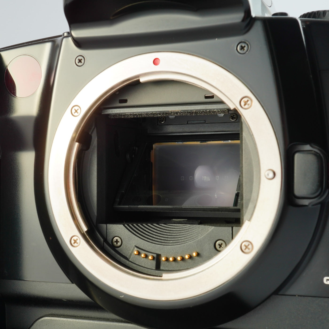 Canon EOS 5 QD + VG-10 + EF 28-90mm F/4-5.6 Ⅲ AF フィルム一眼レフカメラ