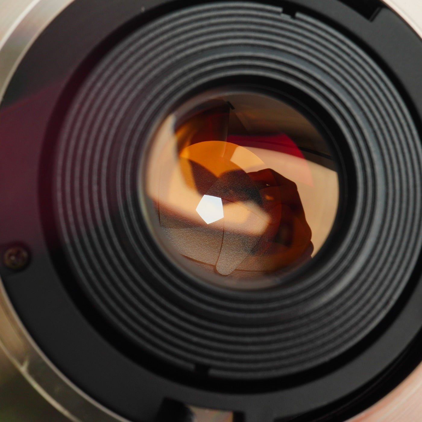 COSINA 24mm F/2.8 MC MACRO for Contax/Yashica (Contax/Yashica用) 単焦点レンズ