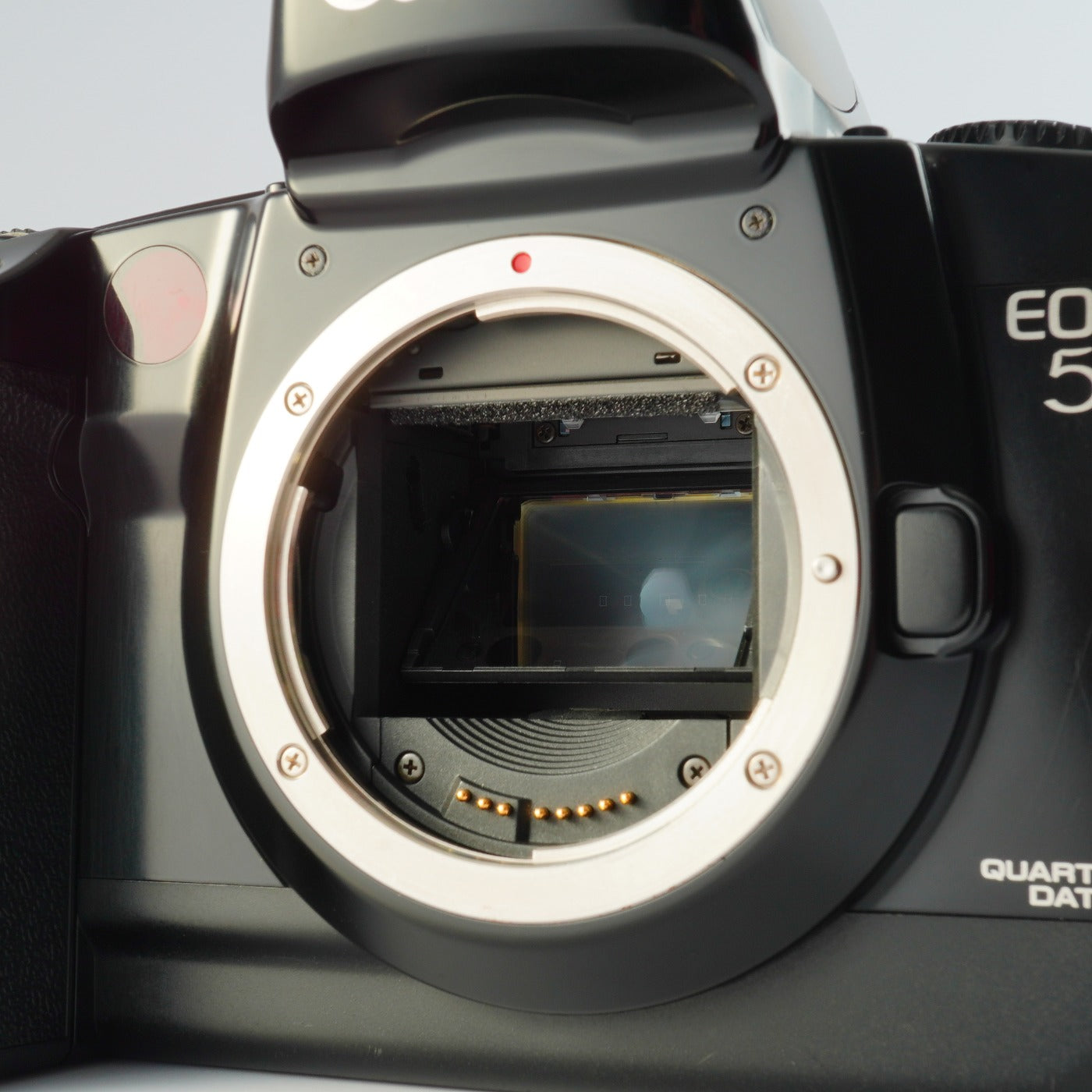 Canon EOS 5 + EF 28-70mm F/3.5-5.6 Ⅴ AF フィルム一眼レフカメラ