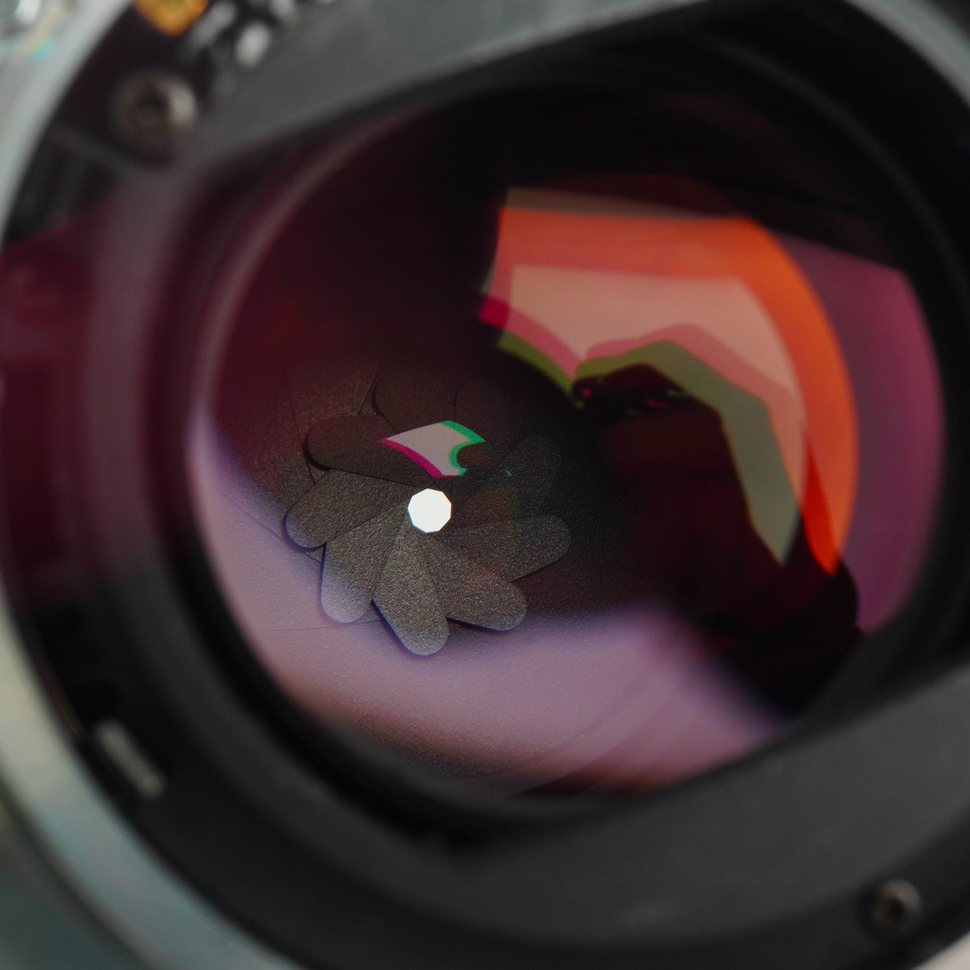 MINOLTA AF Macro 100mm F/2.8 単焦点レンズ