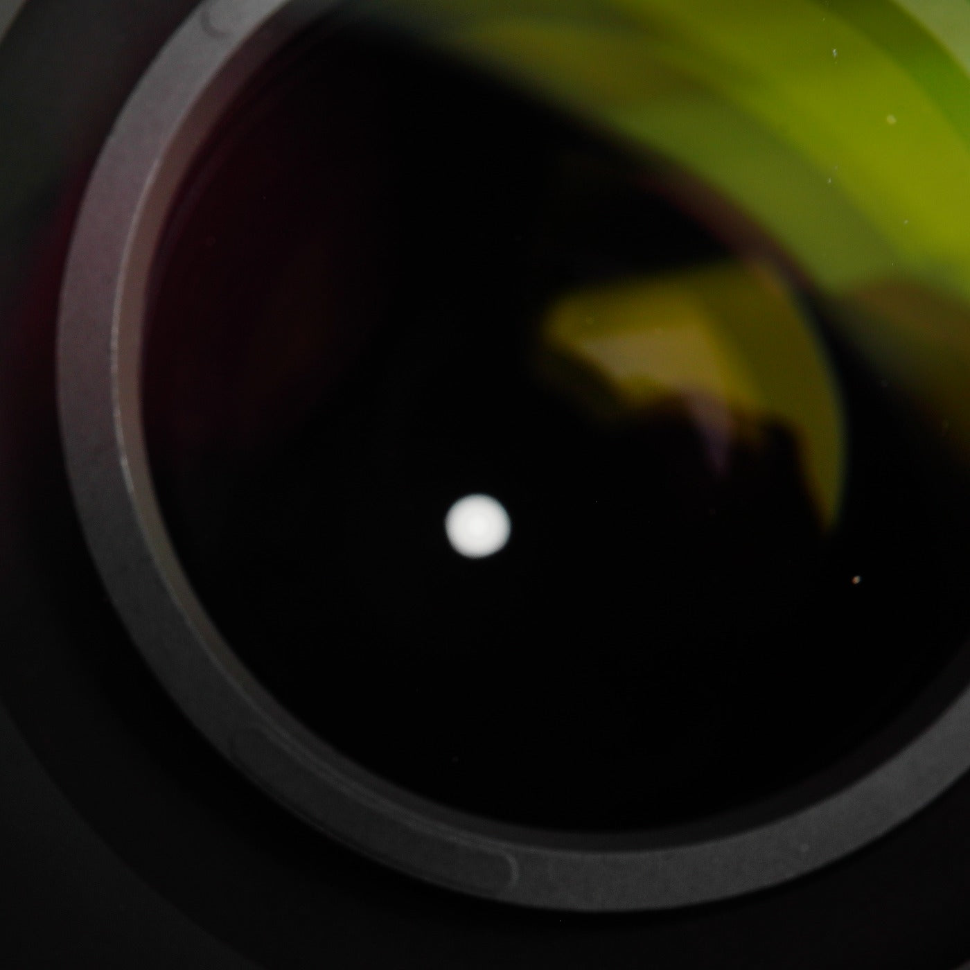 Nikon AF-S NIKKOR 55-300mm F/4.5-5.6 G ED VR DX ズームレンズ