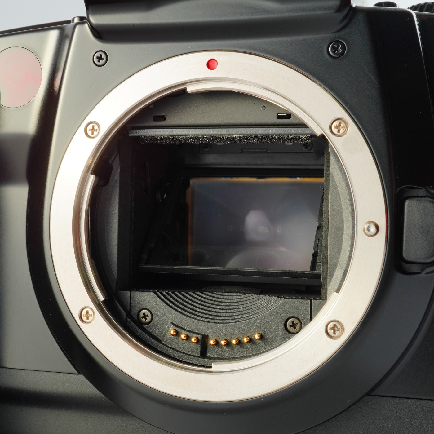 Canon EOS 5 QD + EF 28-80mm F/3.5-5.6 Ⅲ AF フィルム一眼レフカメラ