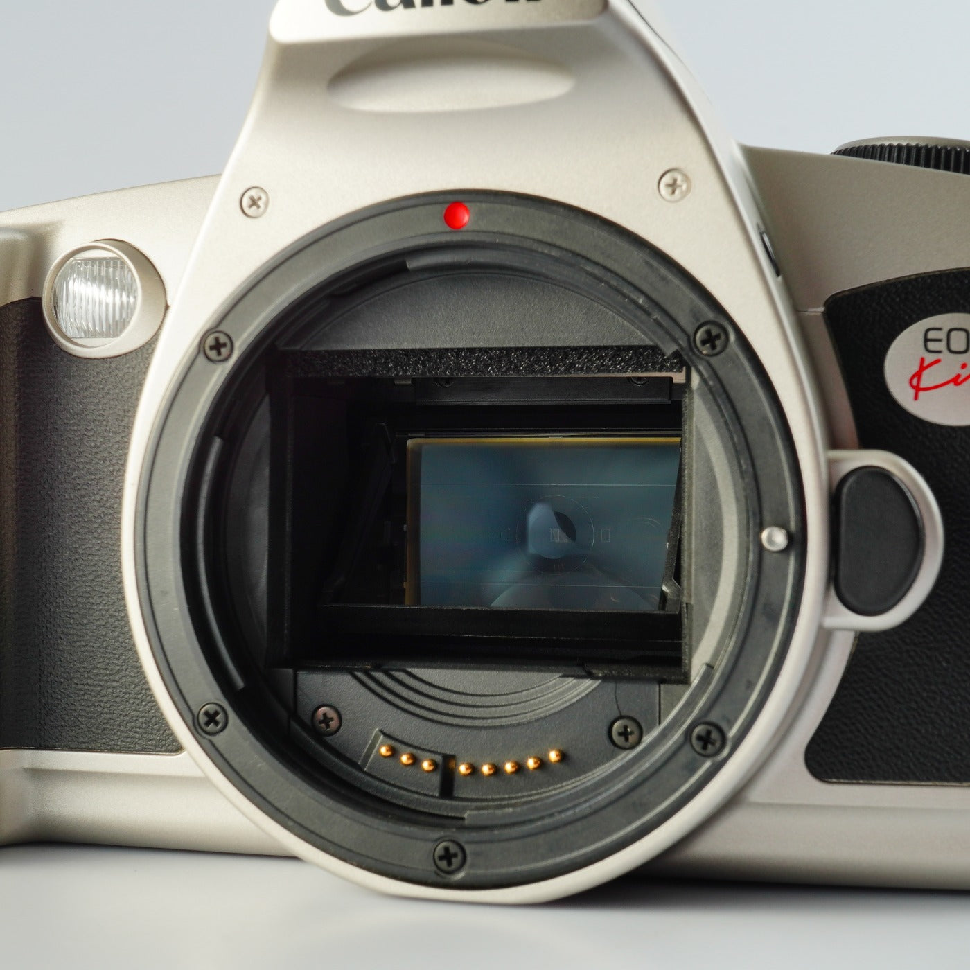 Canon New EOS kiss (REBEL G) + EF 35-80mm F/4-5.6 Ⅲ AF フィルム一眼レフカメラ