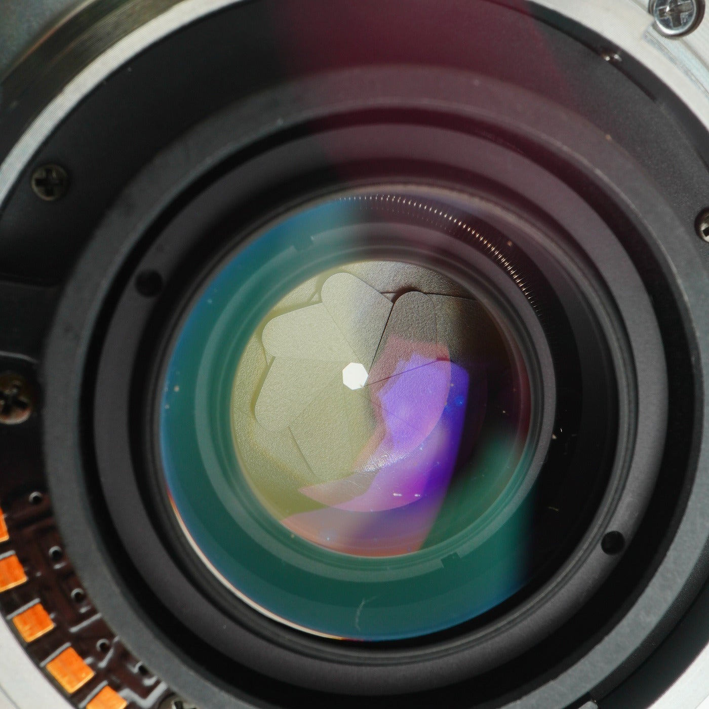 MINOLTA AF MACRO 50mm F/2.8 単焦点レンズ