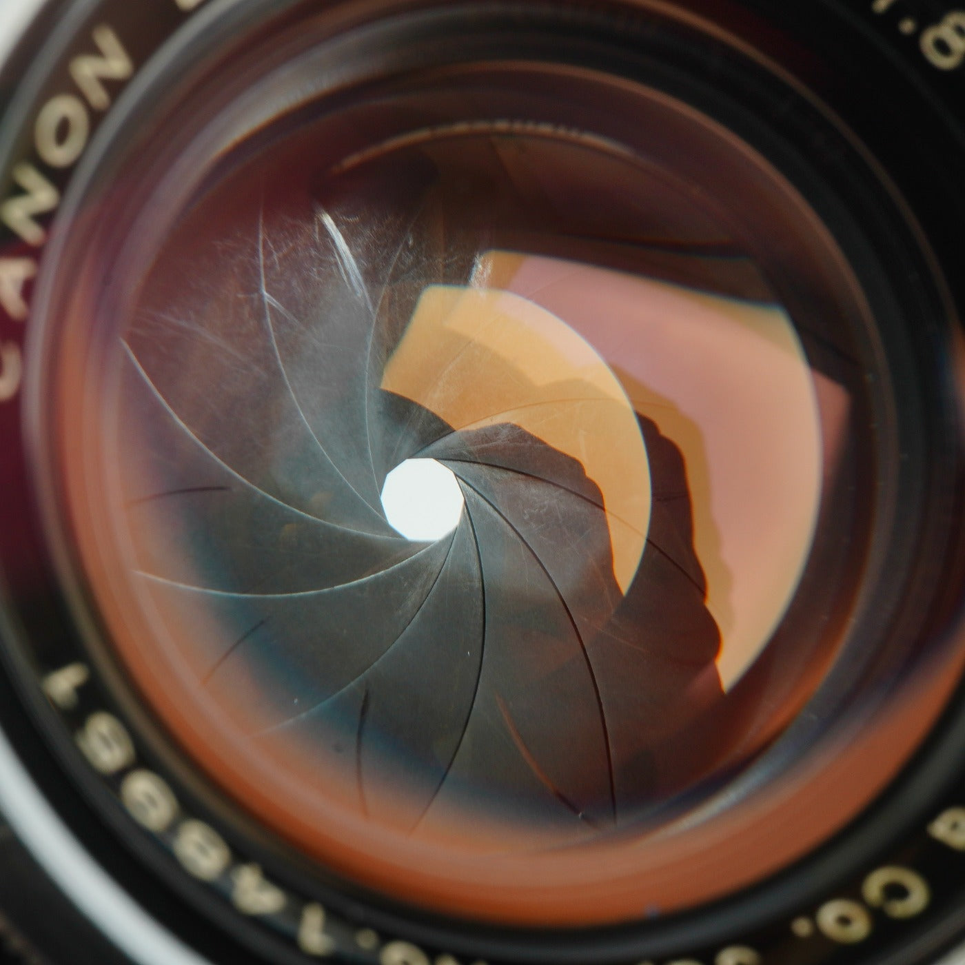 Canon 50mm F/1.8 For L39 単焦点レンズ