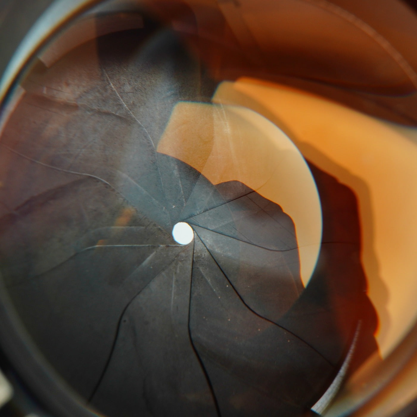Canon 50mm F/1.4 LTM 単焦点レンズ