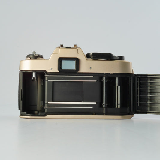 Nikon FM10 MF フィルム一眼レフカメラ