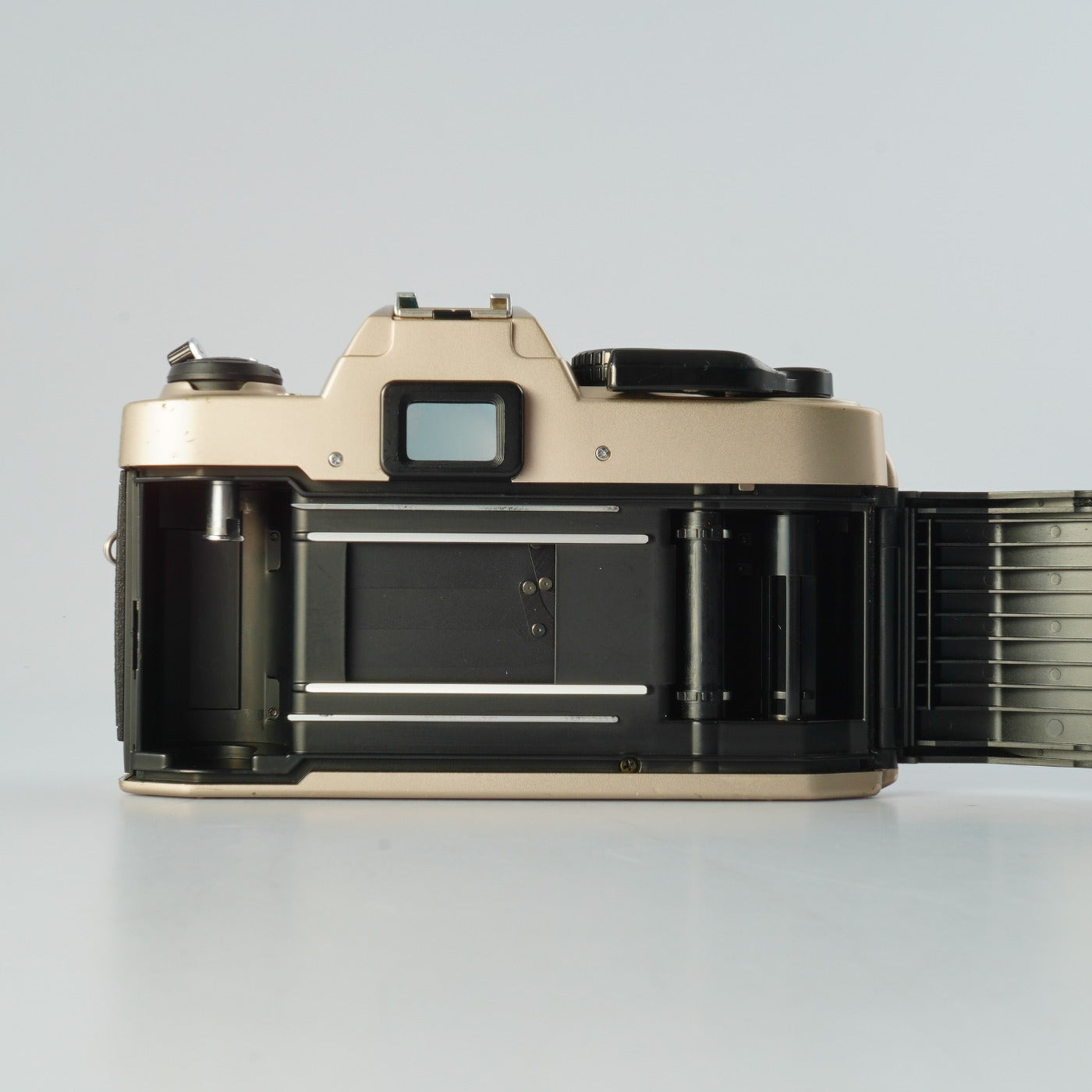 Nikon FM10 MF フィルム一眼レフカメラ