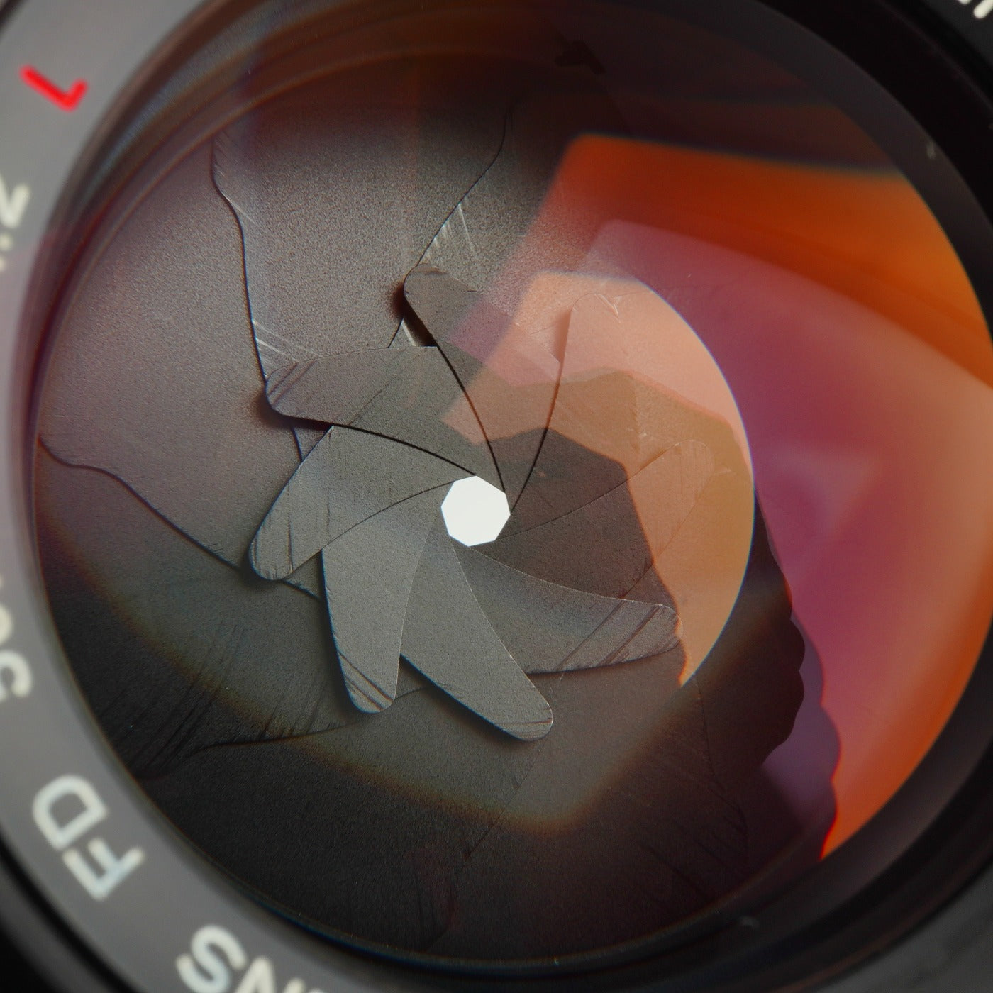 Canon New FD 50mm F/1.2 L 単焦点レンズ