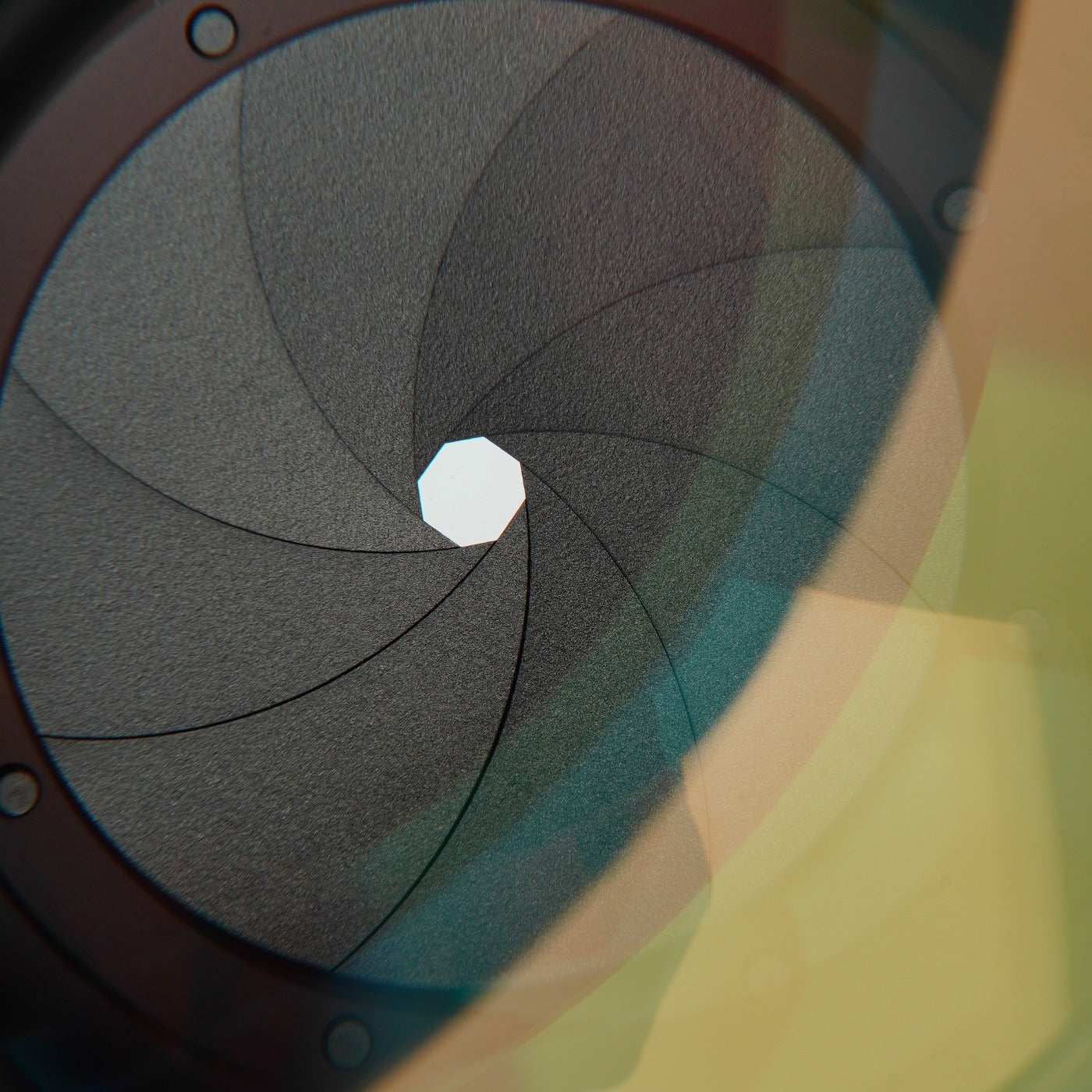 6 Elements PENTAX Super-Multi-Coated TAKUMAR 135mm F/2.5 (M42用) 単焦点レンズ