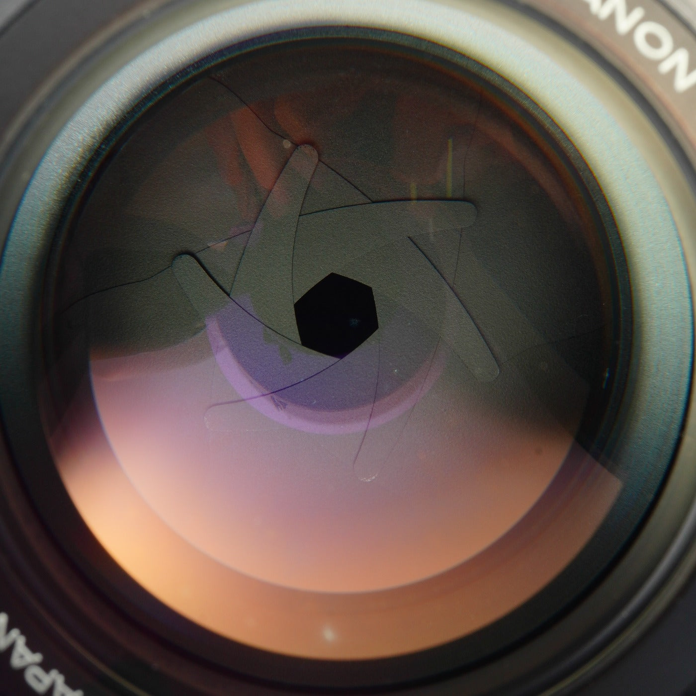 Konica HEXANON AR 135mm F/2.5 単焦点レンズ