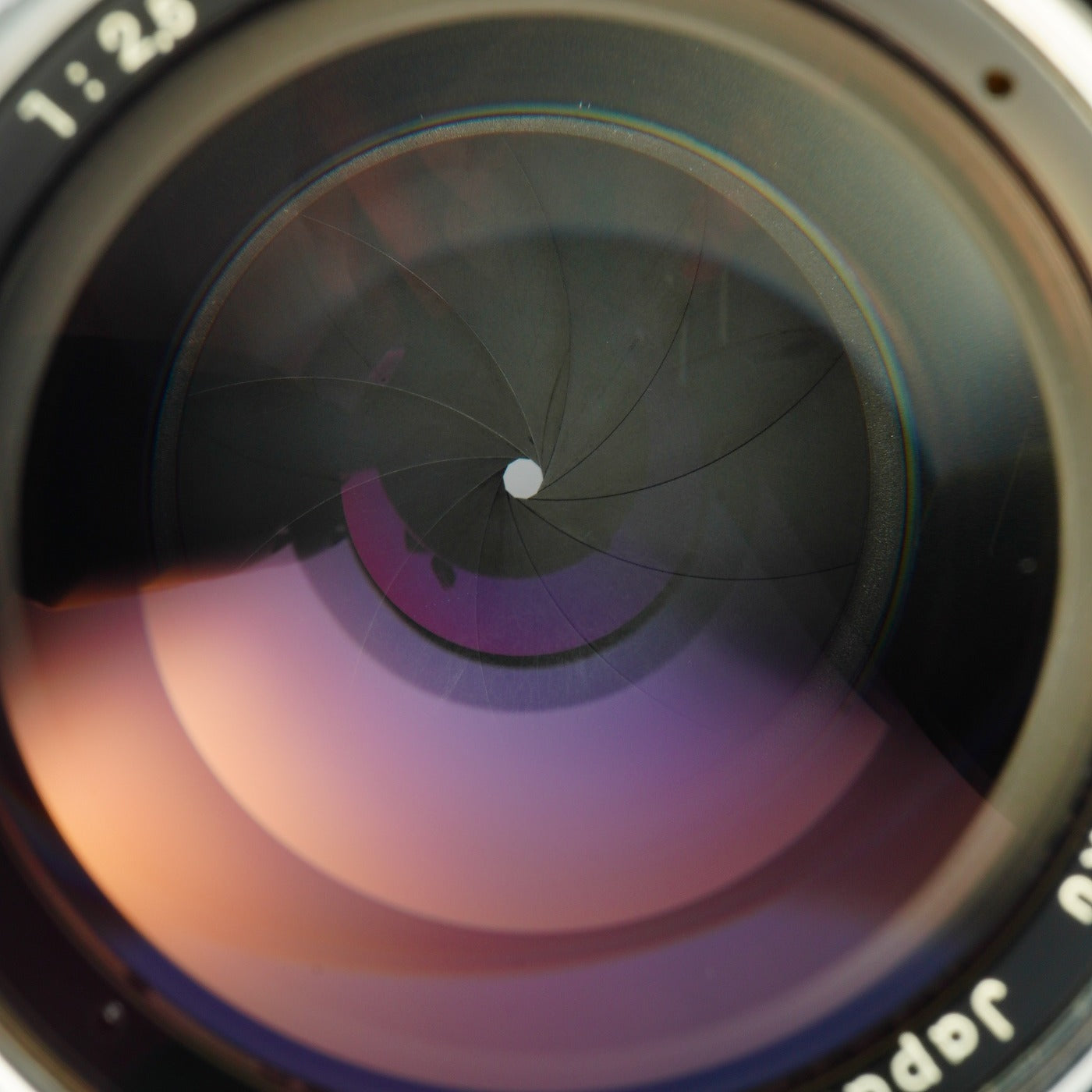 Nikon Nippon Kogaku Nikkor-P 10.5cm 105mm F/2.5 For Nikon S 単焦点レンズ