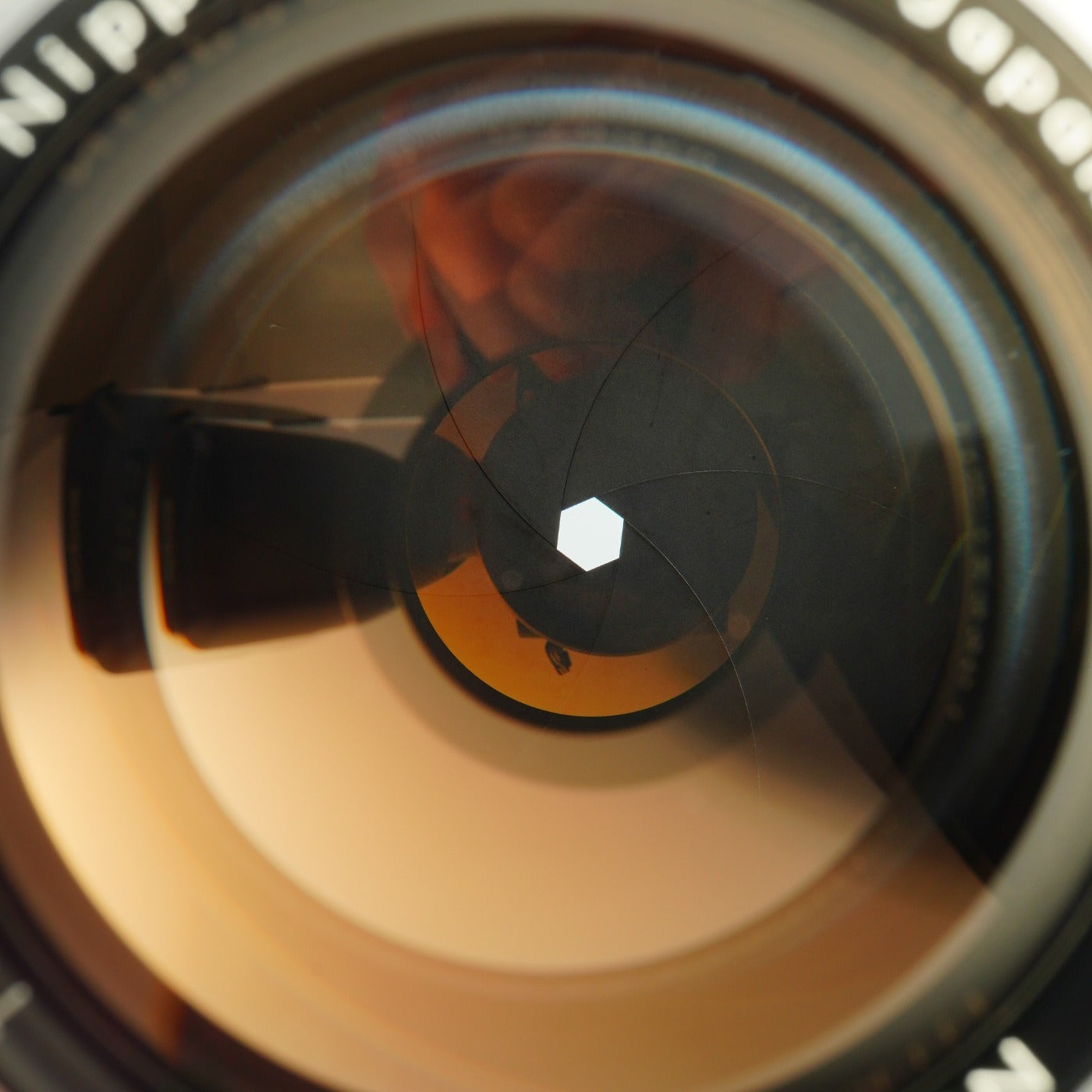 Nikon 非Ai NIKKOR-P Auto 10.5cm 105mm F/2.5 PAT. PEND 単焦点レンズ