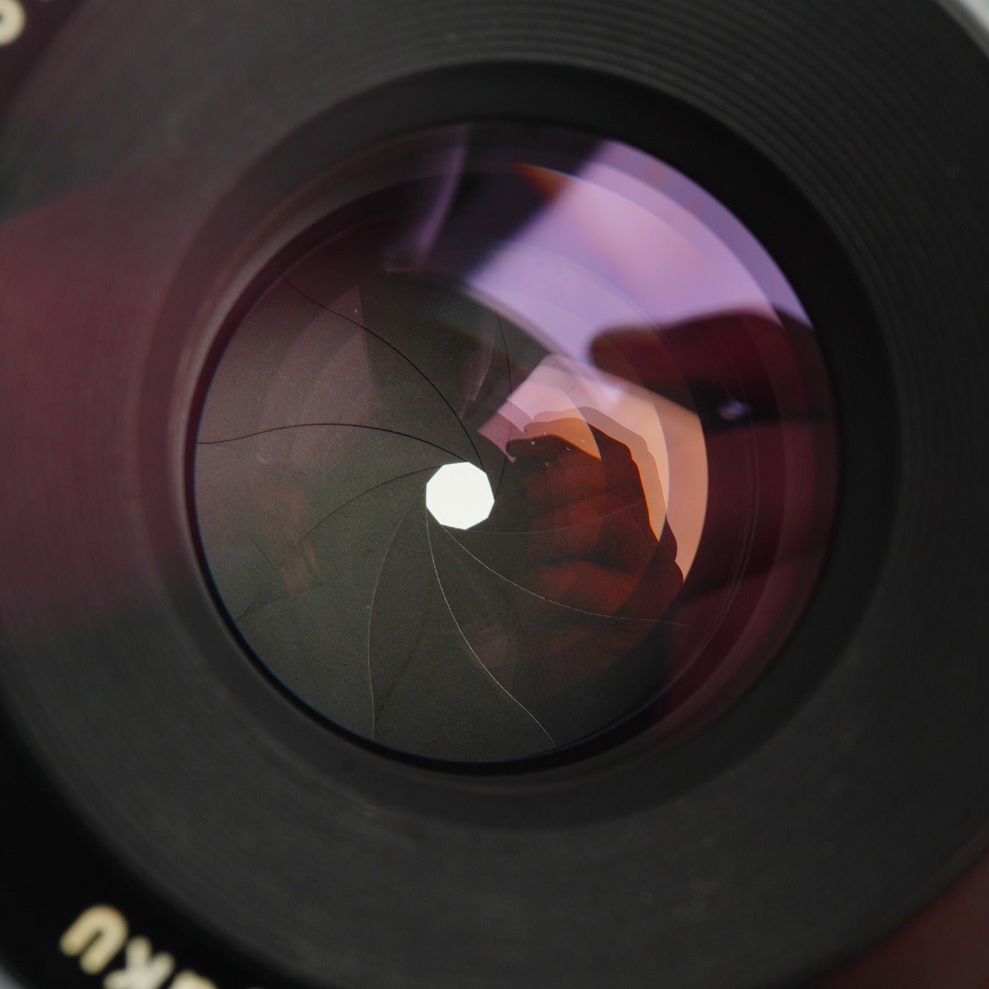 Nikon 非Ai Nippon Kogaku NIKKOR-S Auto 5cm 50mm F/2 PAT.PEND. Model 単焦点レンズ