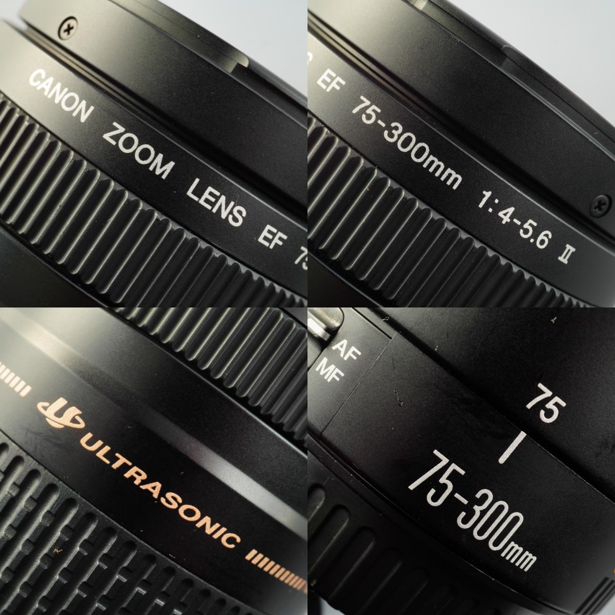 【ジャンク】 Canon EF 75-300mm F/4-5.6 Ⅱ USM ズームレンズ