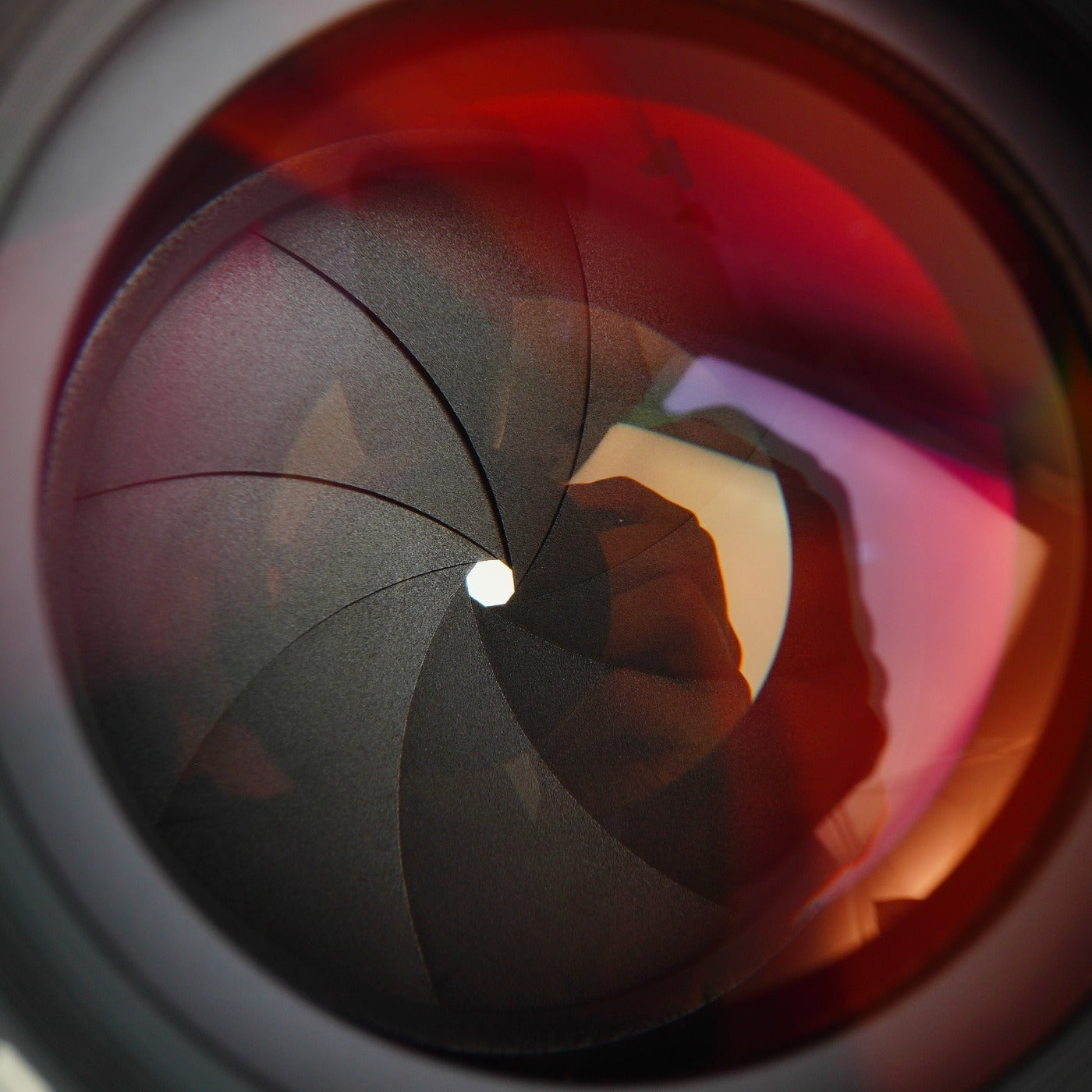Canon FD 50mm F/1.4 S.S.C A mark 単焦点レンズ