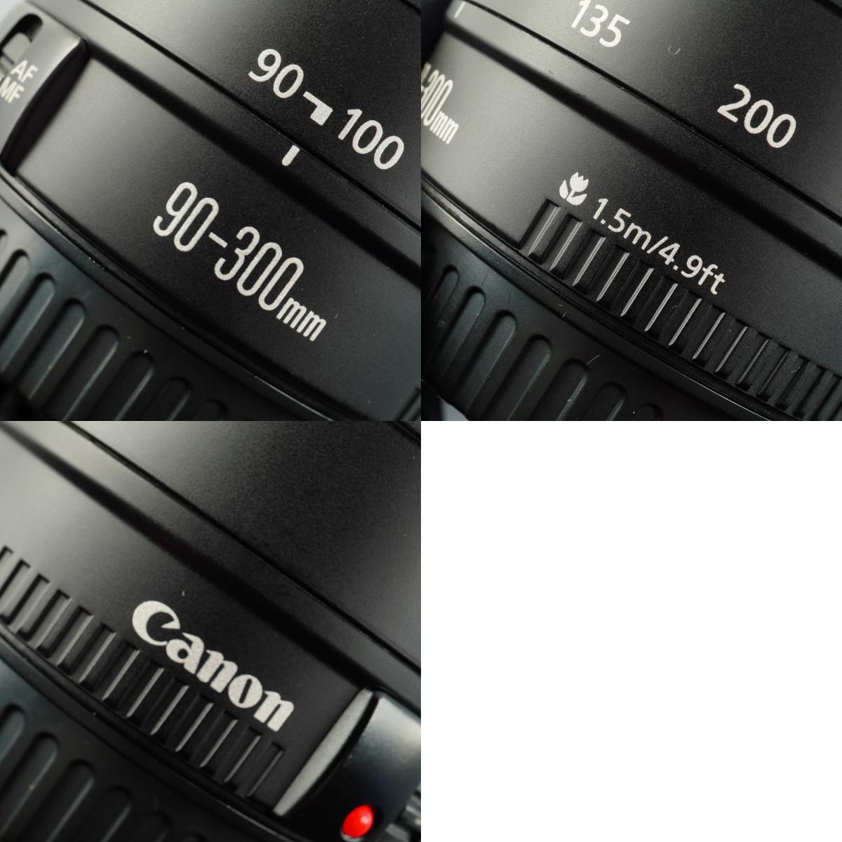 Canon EF 90-300mm F/4.5-5.6 ズームレンズ