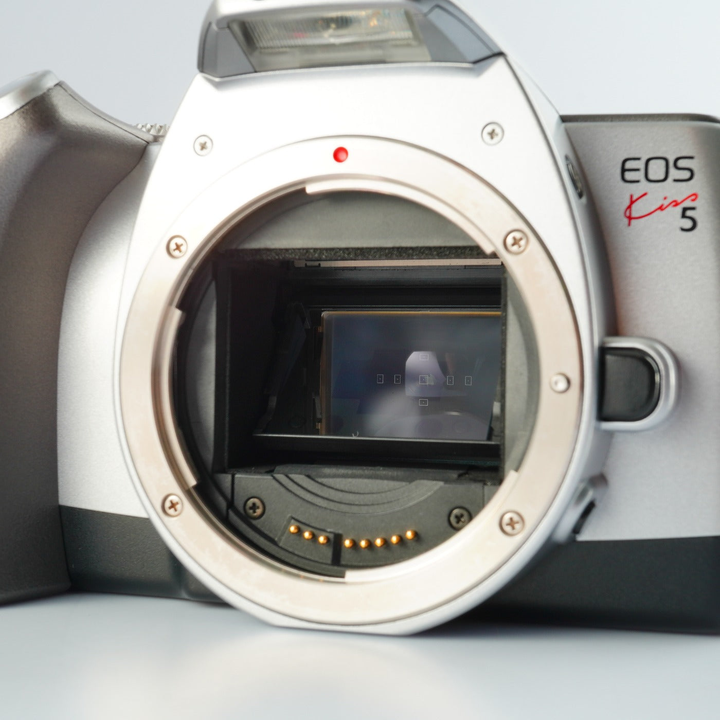 Canon EOS kiss 5 (Rebel Ti) AF フィルム一眼レフカメラ
