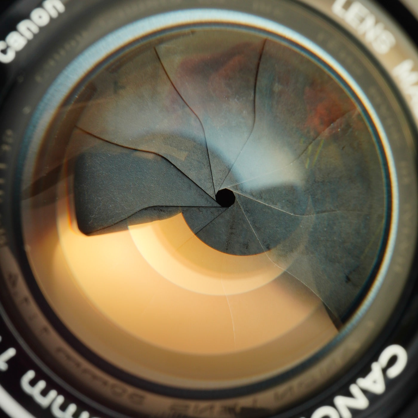 Canon 50mm F/1.4 LTM 単焦点レンズ
