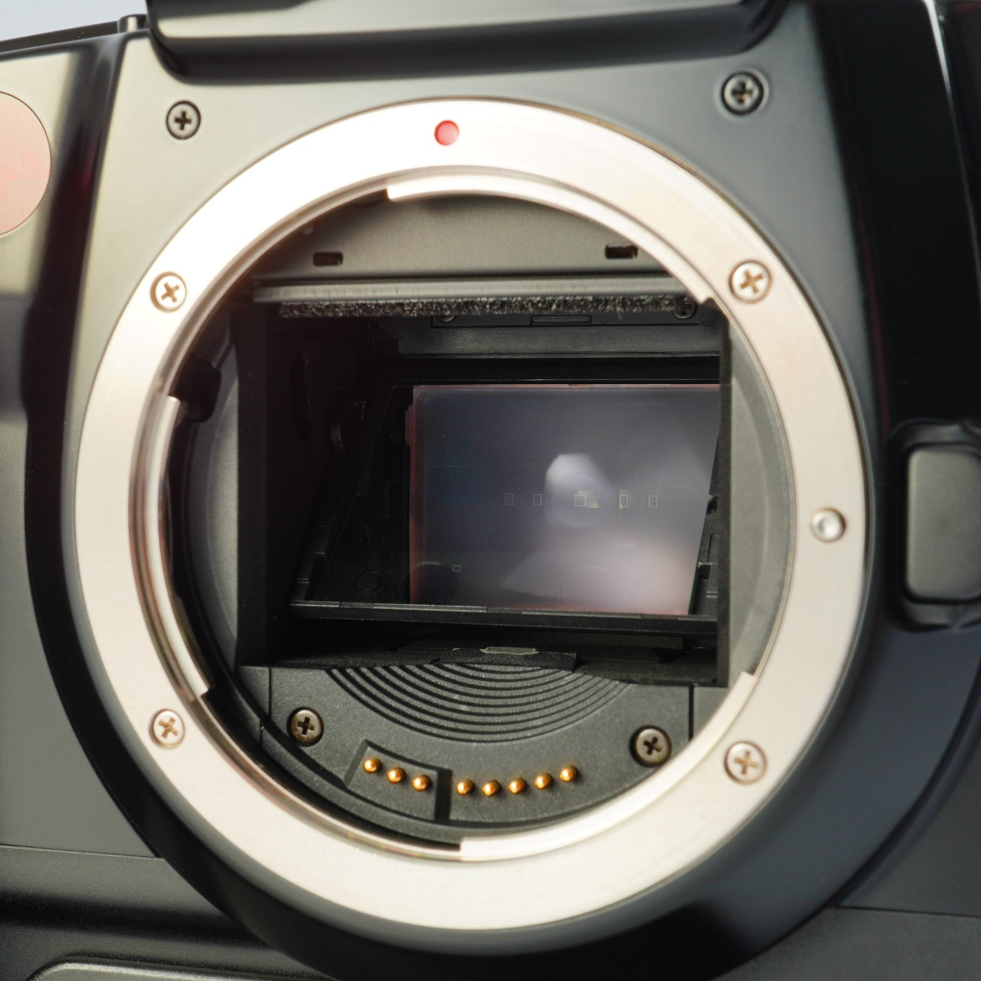 Canon EOS 5 QD (A2E) AF フィルム一眼レフカメラ