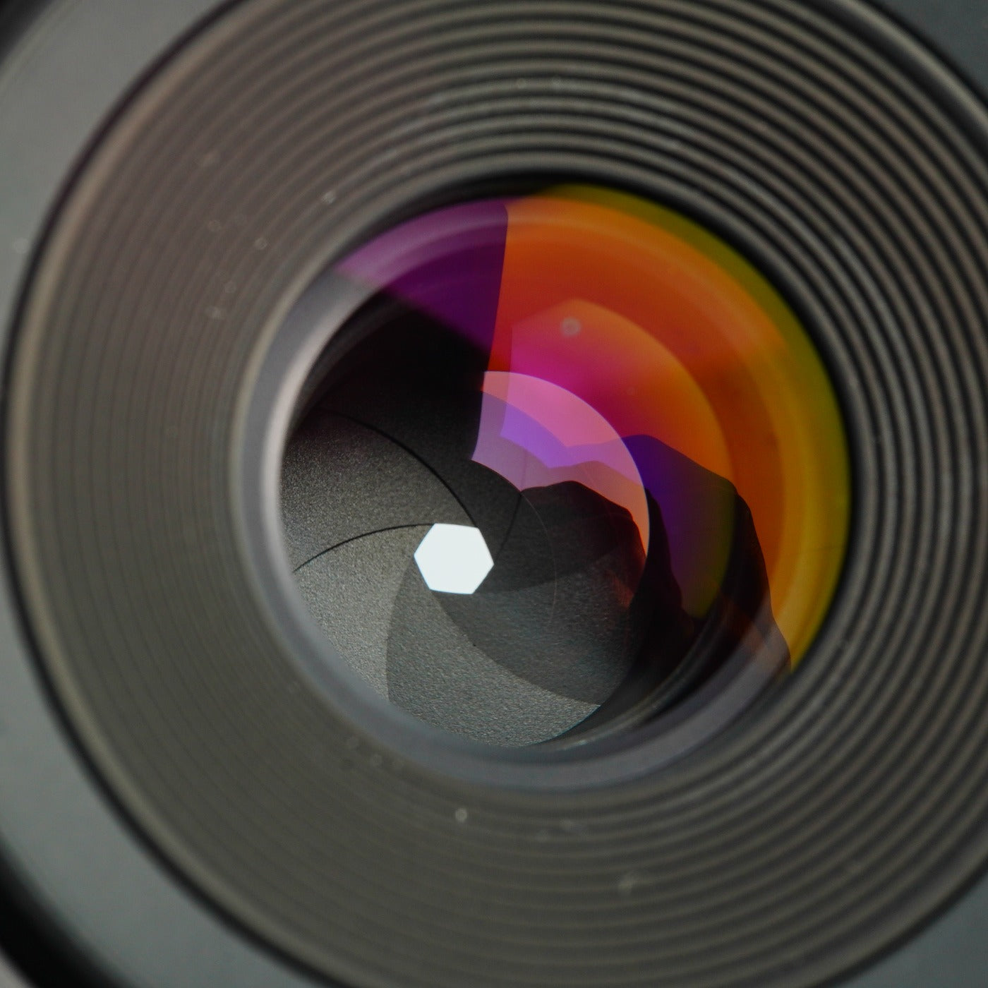 OLYMPUS OM-SYSTEM ZUIKO MC AUTO-1:1 MACRO 80 mm F/4 + Extension Tube 単焦点レンズ