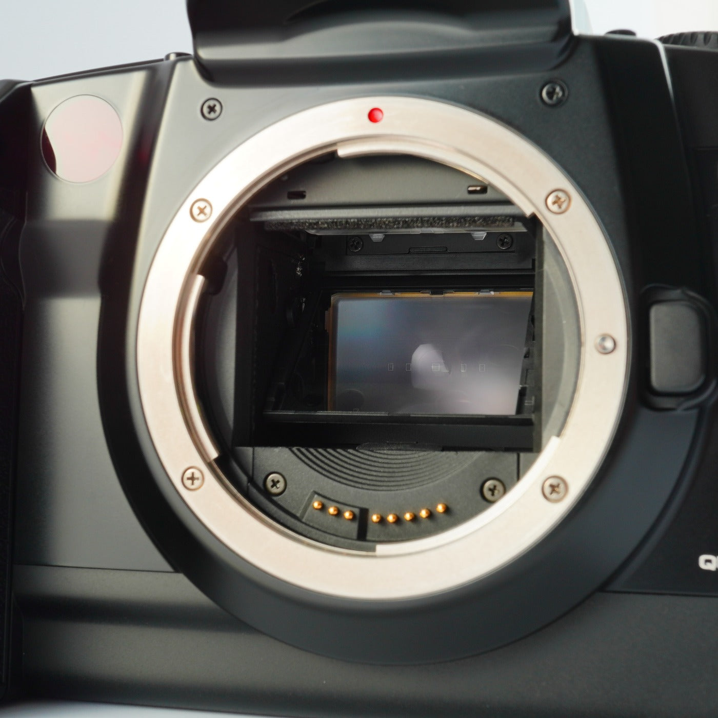 Canon EOS 5 QD (A2E) AF フィルム一眼レフカメラ