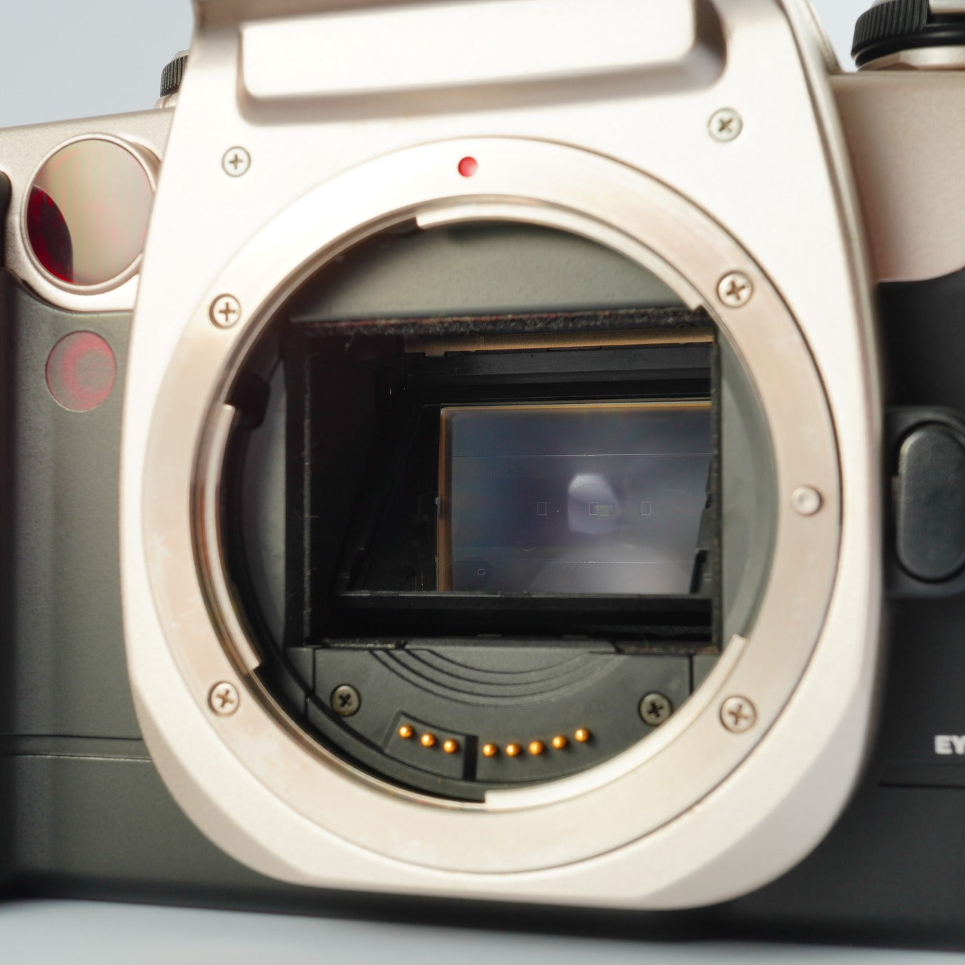 Canon EOS 55 (ELAN II) Gold AF フィルム一眼レフカメラ