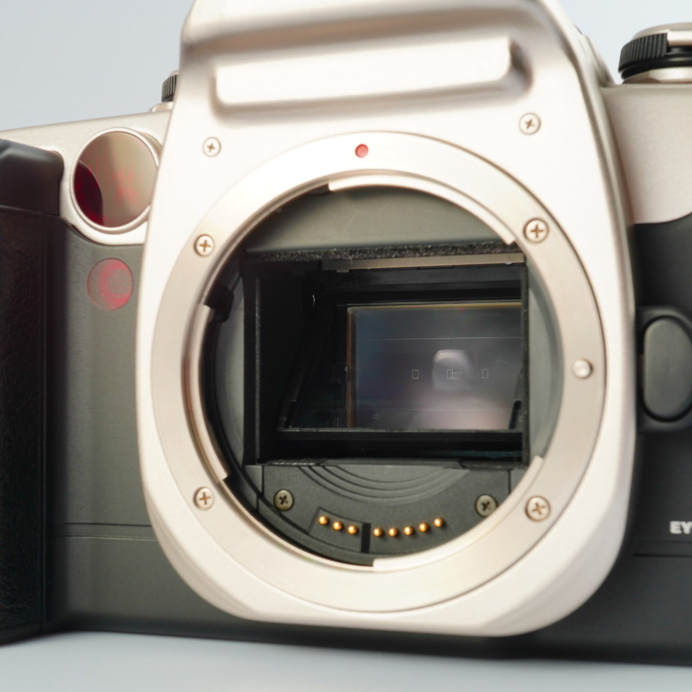 Canon EOS 55 (ELAN II) Gold AF フィルム一眼レフカメラ