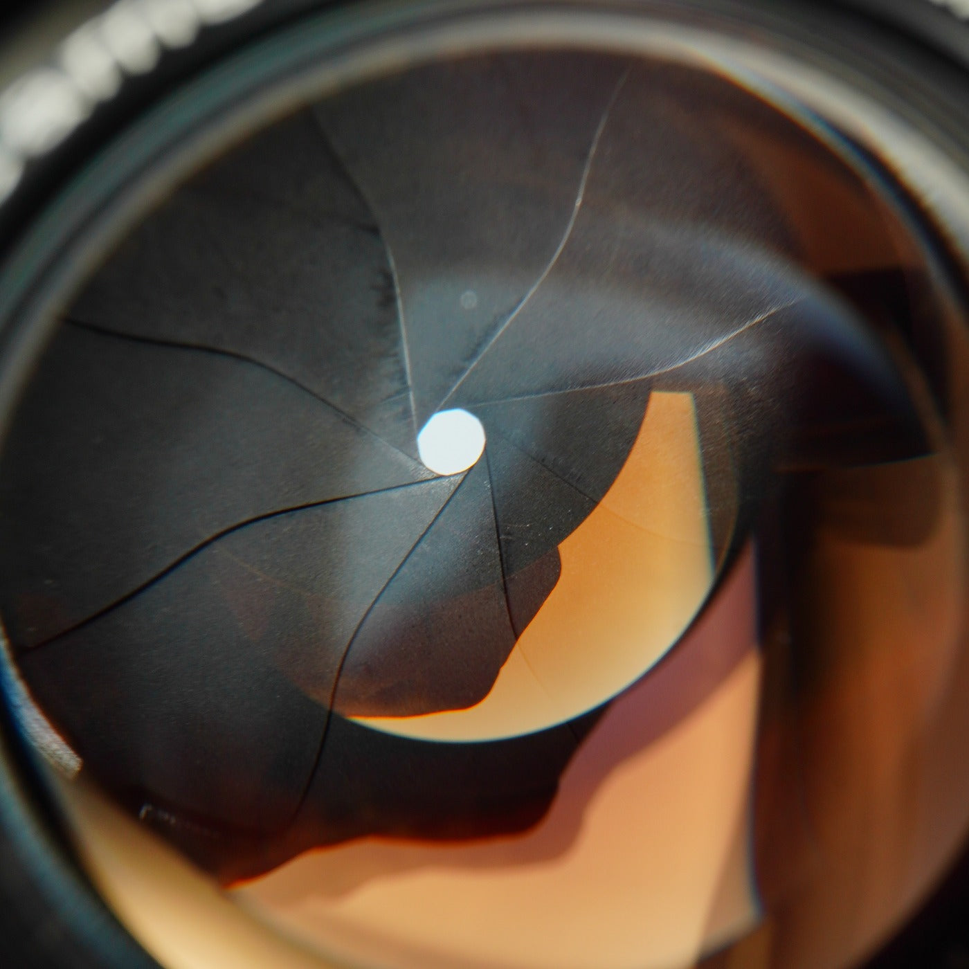 【Serviced】 Canon 50mm F/1.8 For L39 LTM 単焦点レンズ
