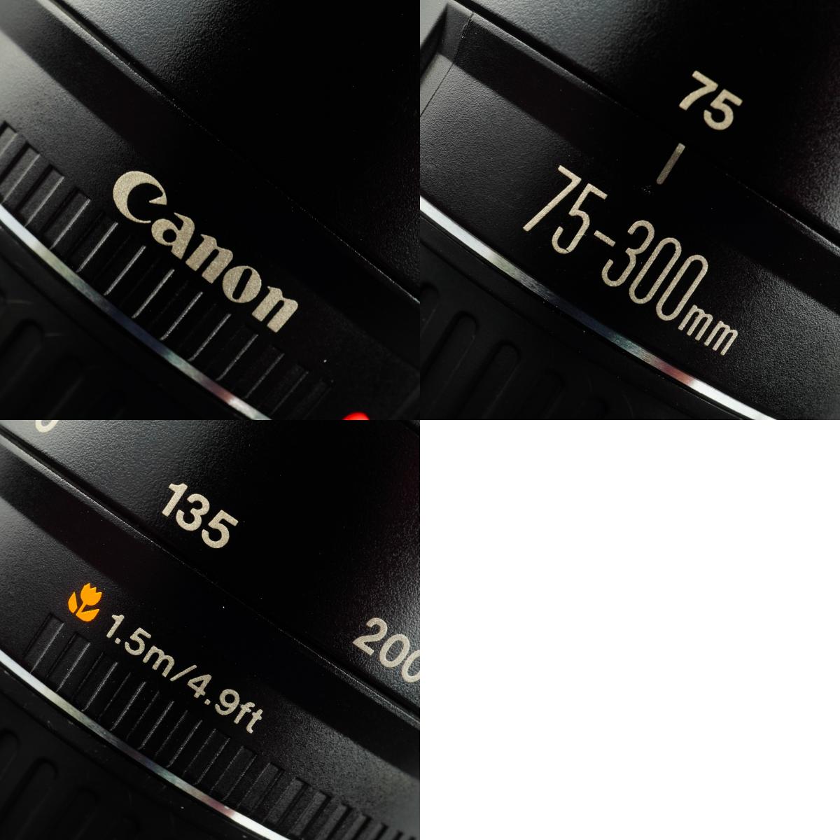 Canon EF 75-300mm F/4-5.6 ズームレンズ