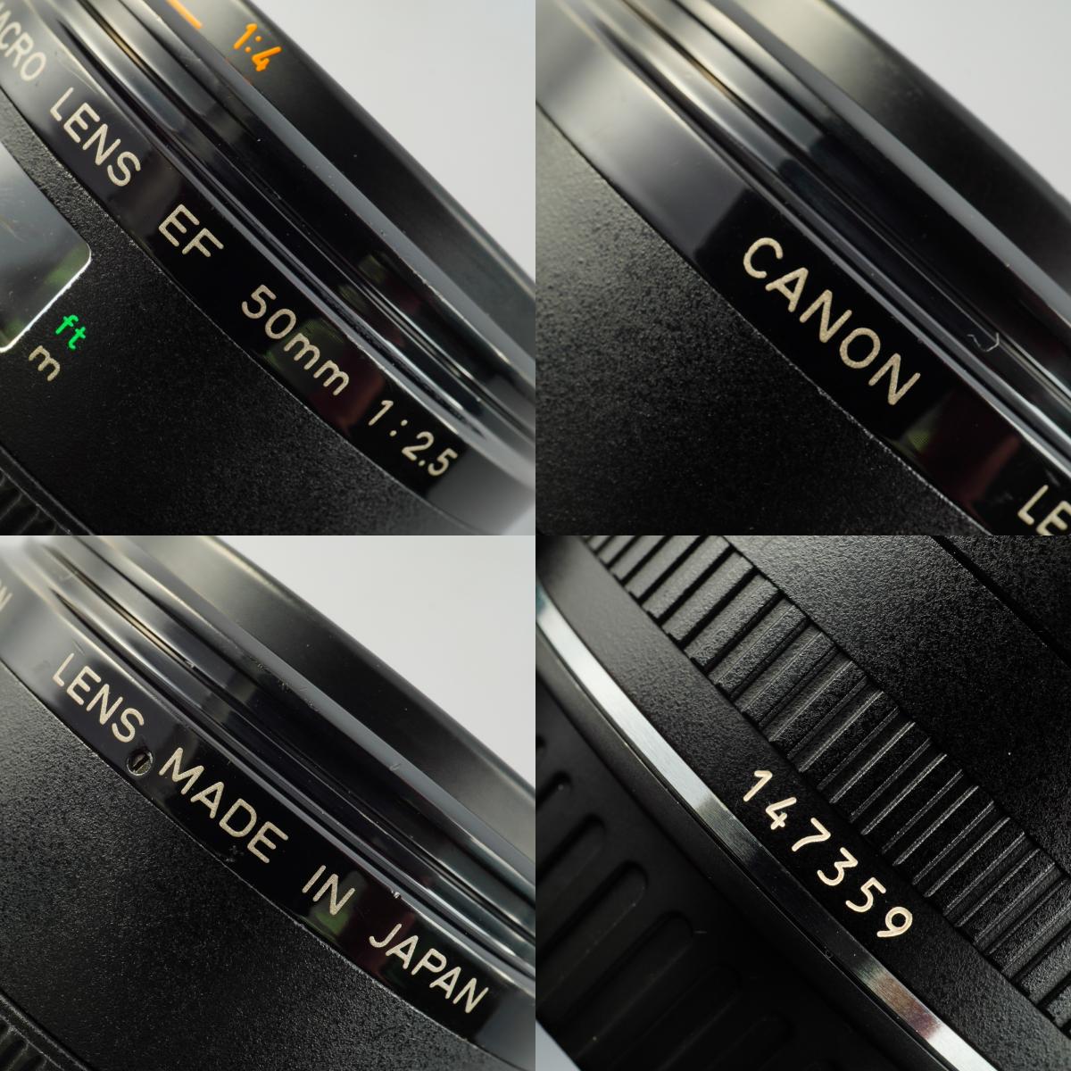 Canon EF COMPACT-MACRO 50mm F/2.5 + Life Size Converter マクロレンズ