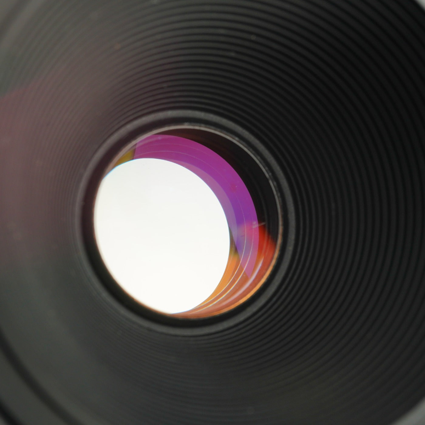 Canon EF COMPACT-MACRO 50mm F/2.5 + Life Size Converter マクロレンズ