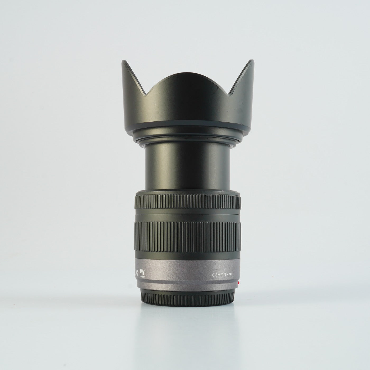 Panasonic Lumix G Vario 14-42mm F/3.5-5.6 ASPH MEGA O.I.S ズームレンズ
