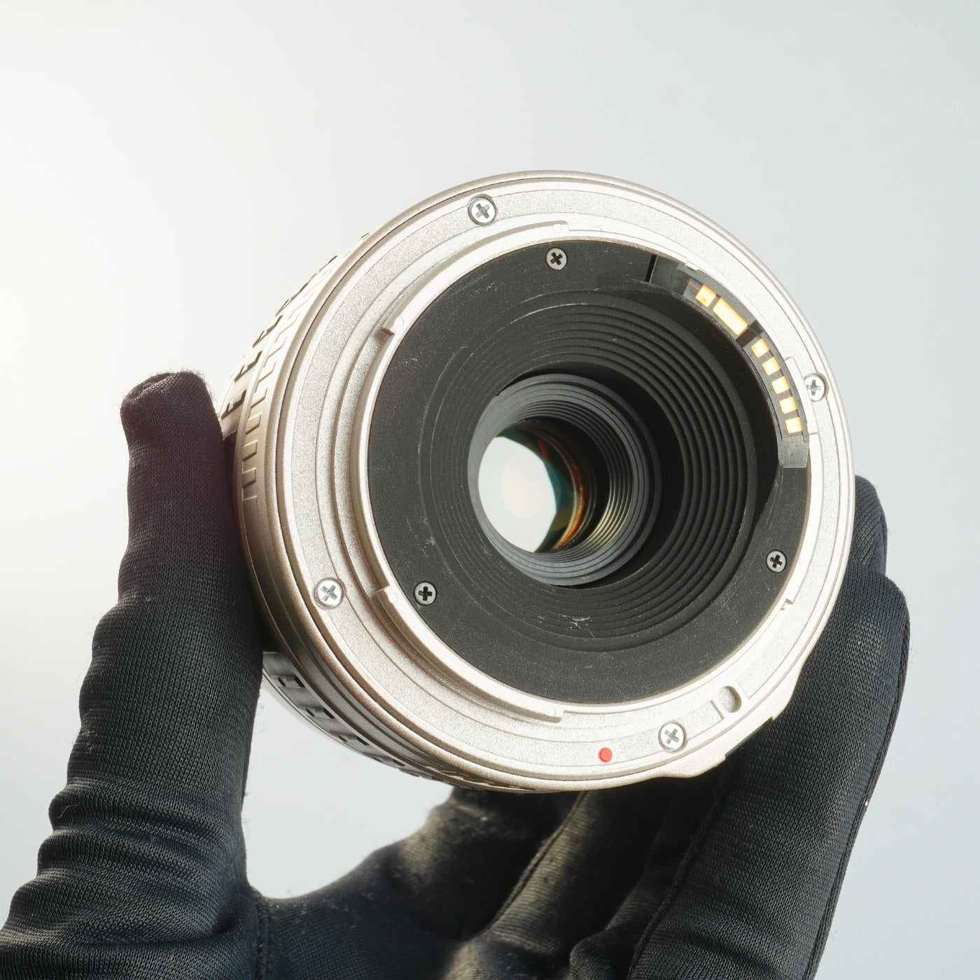 Canon EOS 55 (ELAN II) Gold ＋ SIGMA 28-80mm F/3.5-5.6 Ⅱ MACRO ASPHERICAL AF AF フィルム一眼レフカメラ