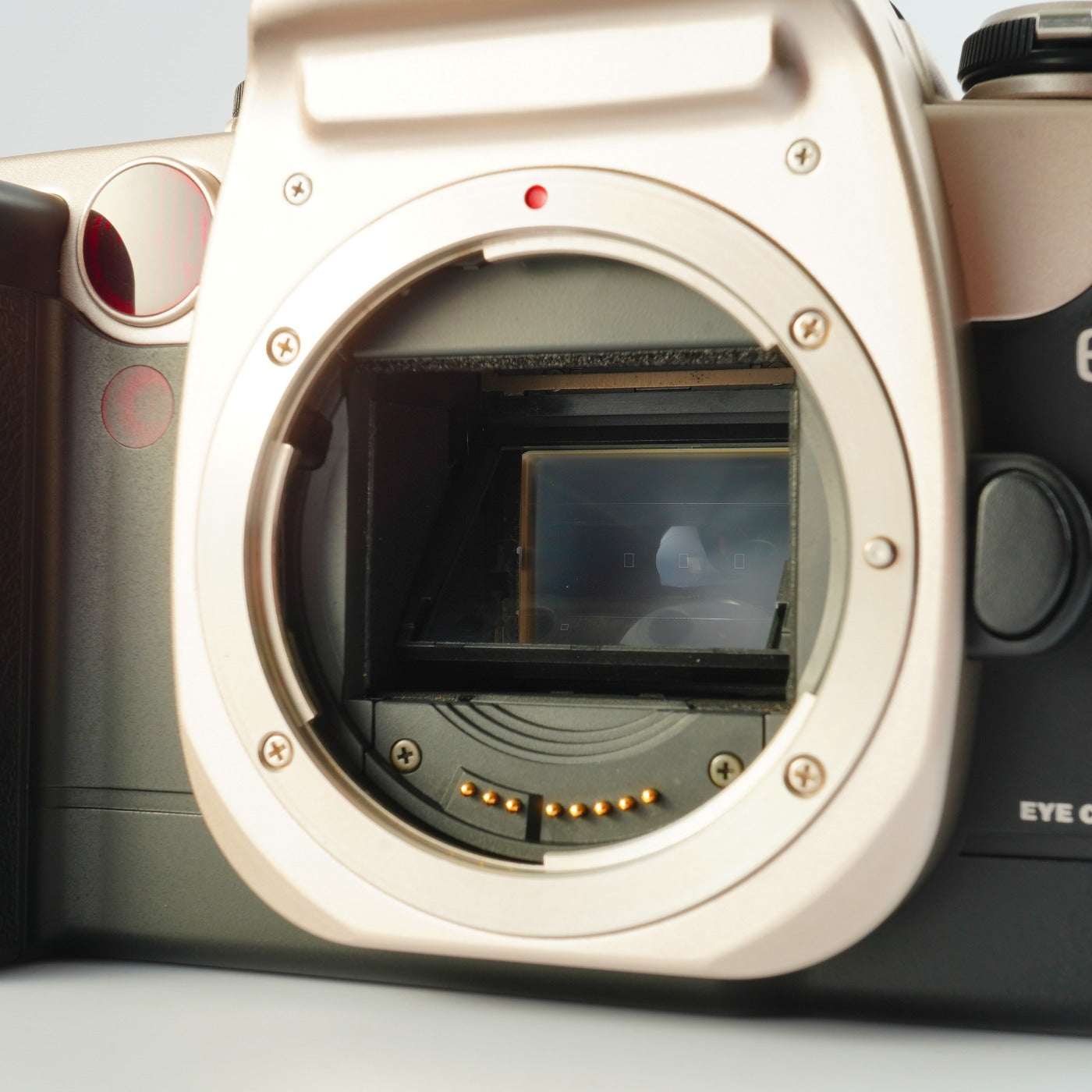 Canon EOS 55 (ELAN II) Gold ＋ SIGMA 28-80mm F/3.5-5.6 Ⅱ MACRO ASPHERICAL AF AF フィルム一眼レフカメラ