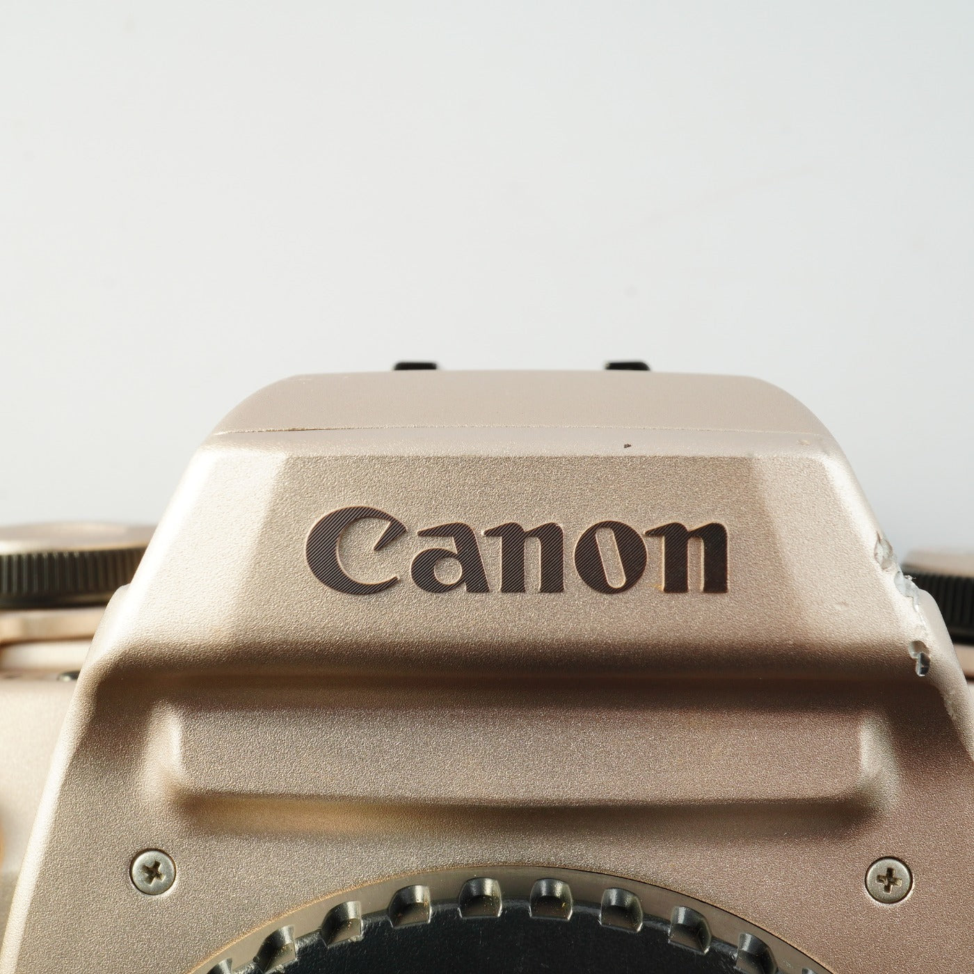 Canon EOS 55 (ELAN II) Gold ＋ SIGMA 28-80mm F/3.5-5.6 Ⅱ MACRO ASPHERICAL AF AF フィルム一眼レフカメラ