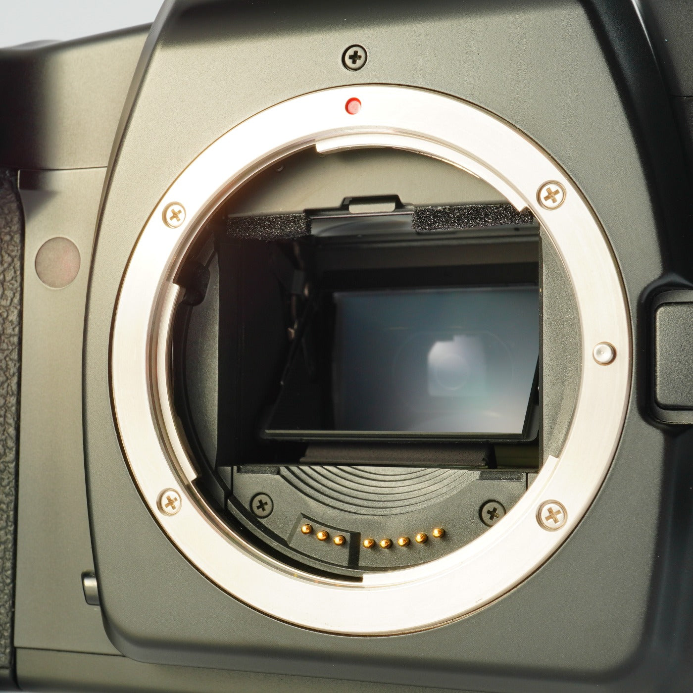 Canon EOS 3 AF フィルム一眼レフカメラ