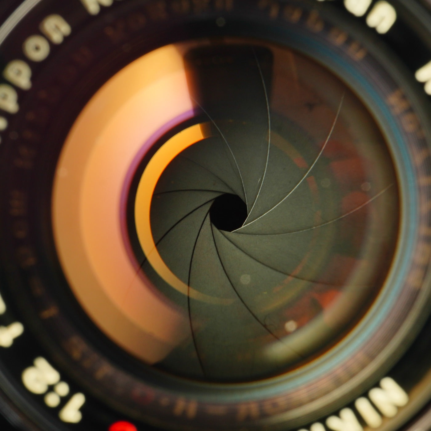 【Serviced】 Nikon Nikkor-H.C 5cm 50mm F/2 For Leica LTM L39 単焦点レンズ