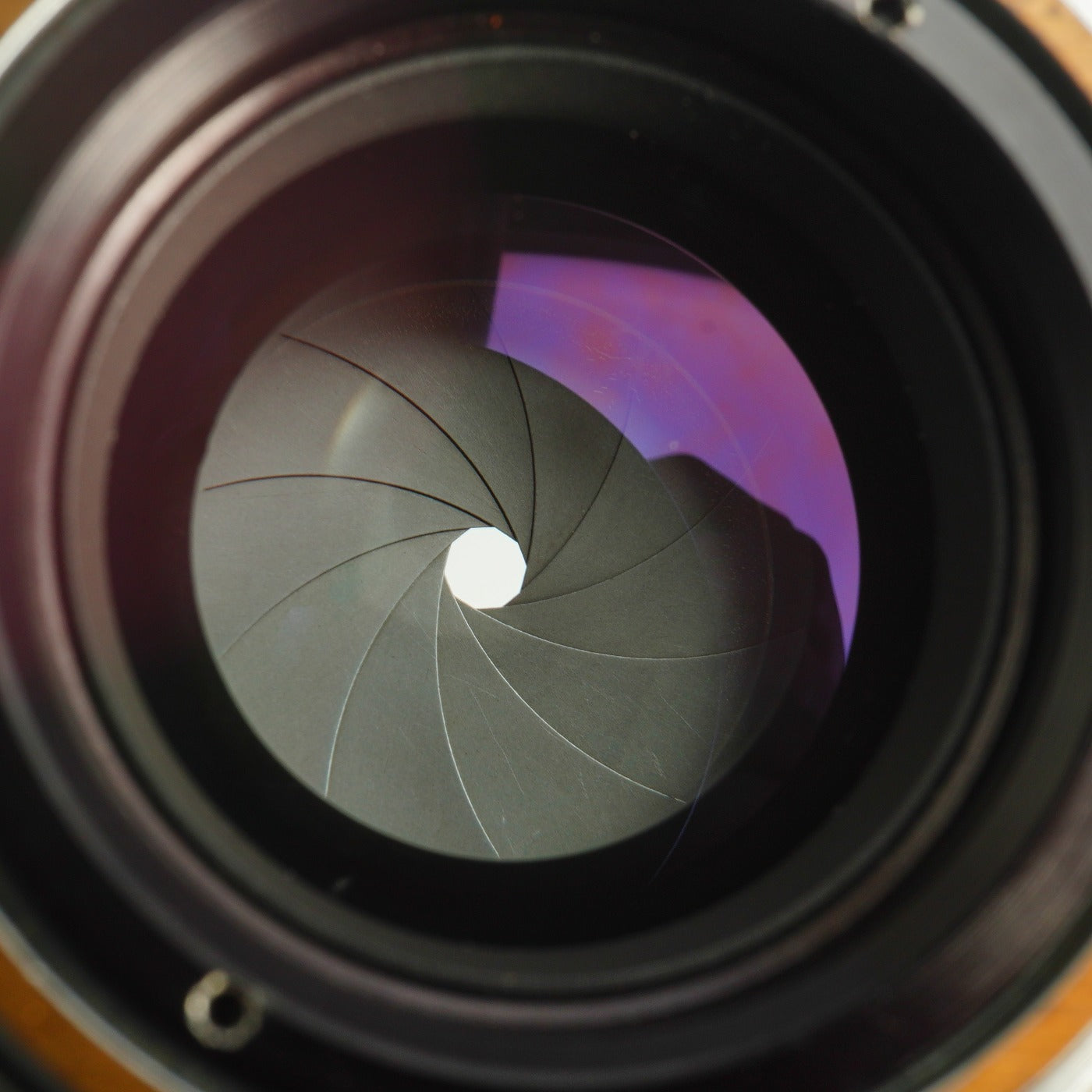 【Serviced】 Nikon Nikkor-H.C 5cm 50mm F/2 For Leica LTM L39 単焦点レンズ