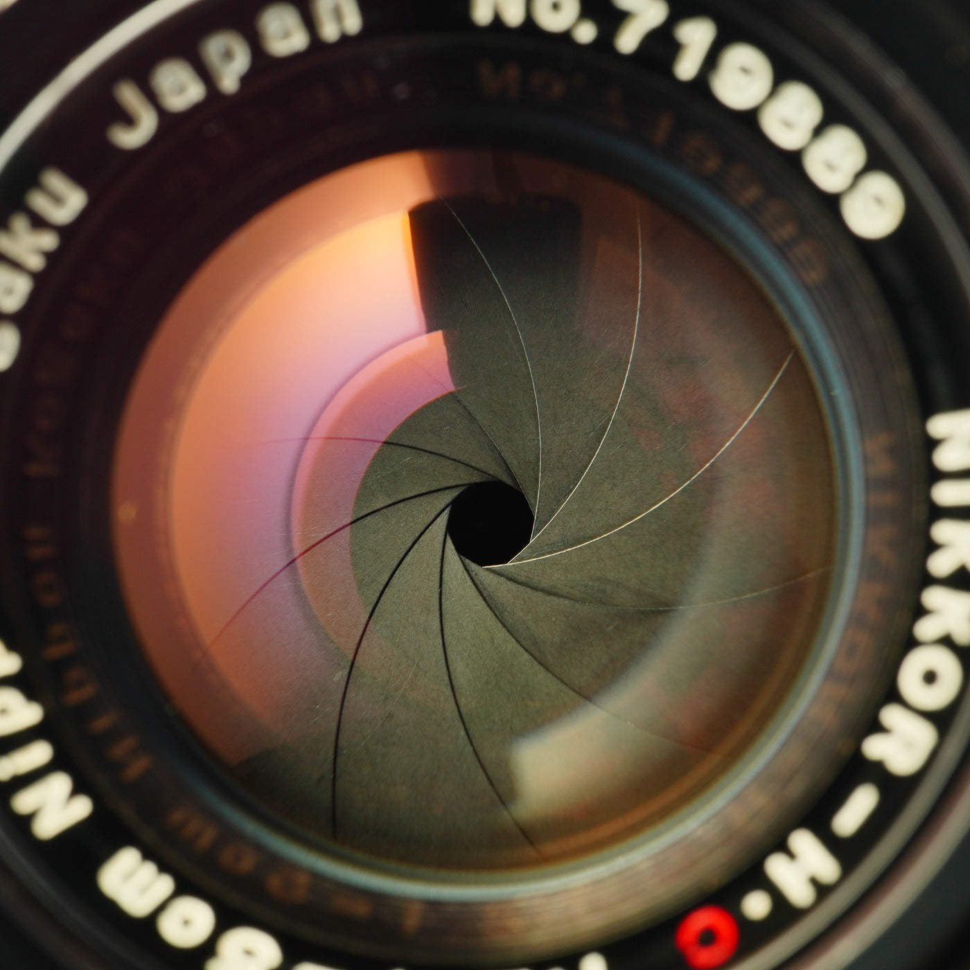 【Serviced】 Nikon Nikkor-H.C 5cm 50mm F/2 For Leica LTM L39 単焦点レンズ