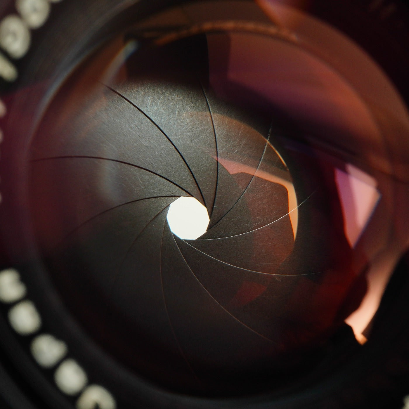 【Serviced】 Nikon Nikkor-H.C 5cm 50mm F/2 For Leica LTM L39 単焦点レンズ